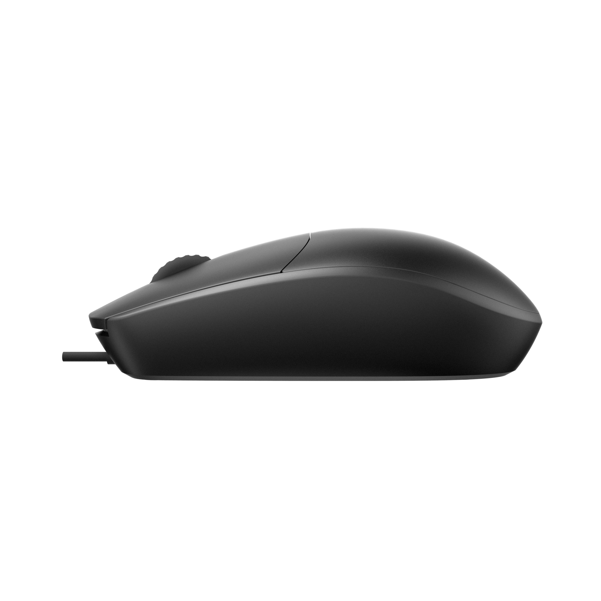 Rapoo N100 BK Bureau Ambidextre USB Type A Optique 1600 DPI Neuf - vue 4