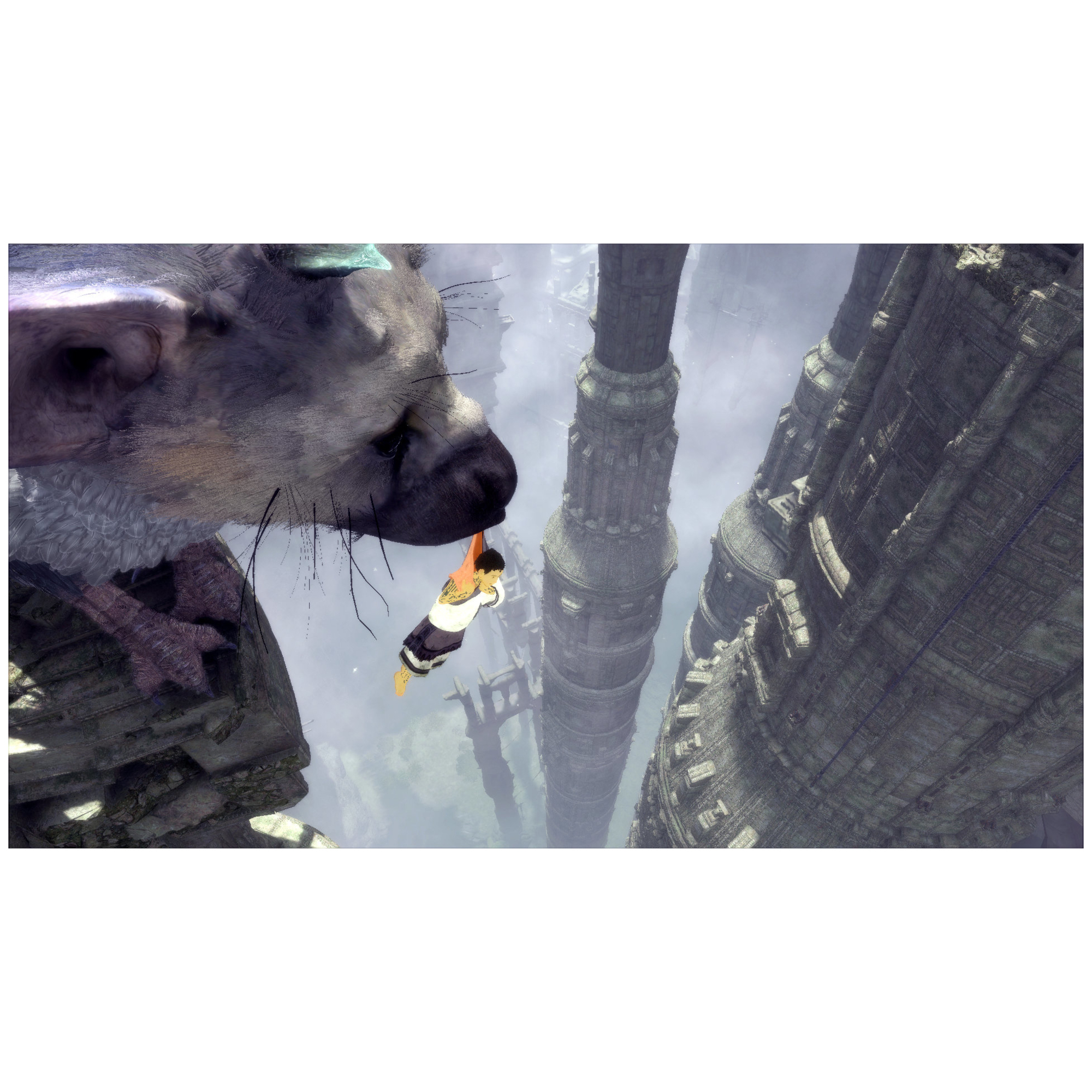 Sony The Last Guardian, PS4 Standard Français PlayStation 4 - Neuf