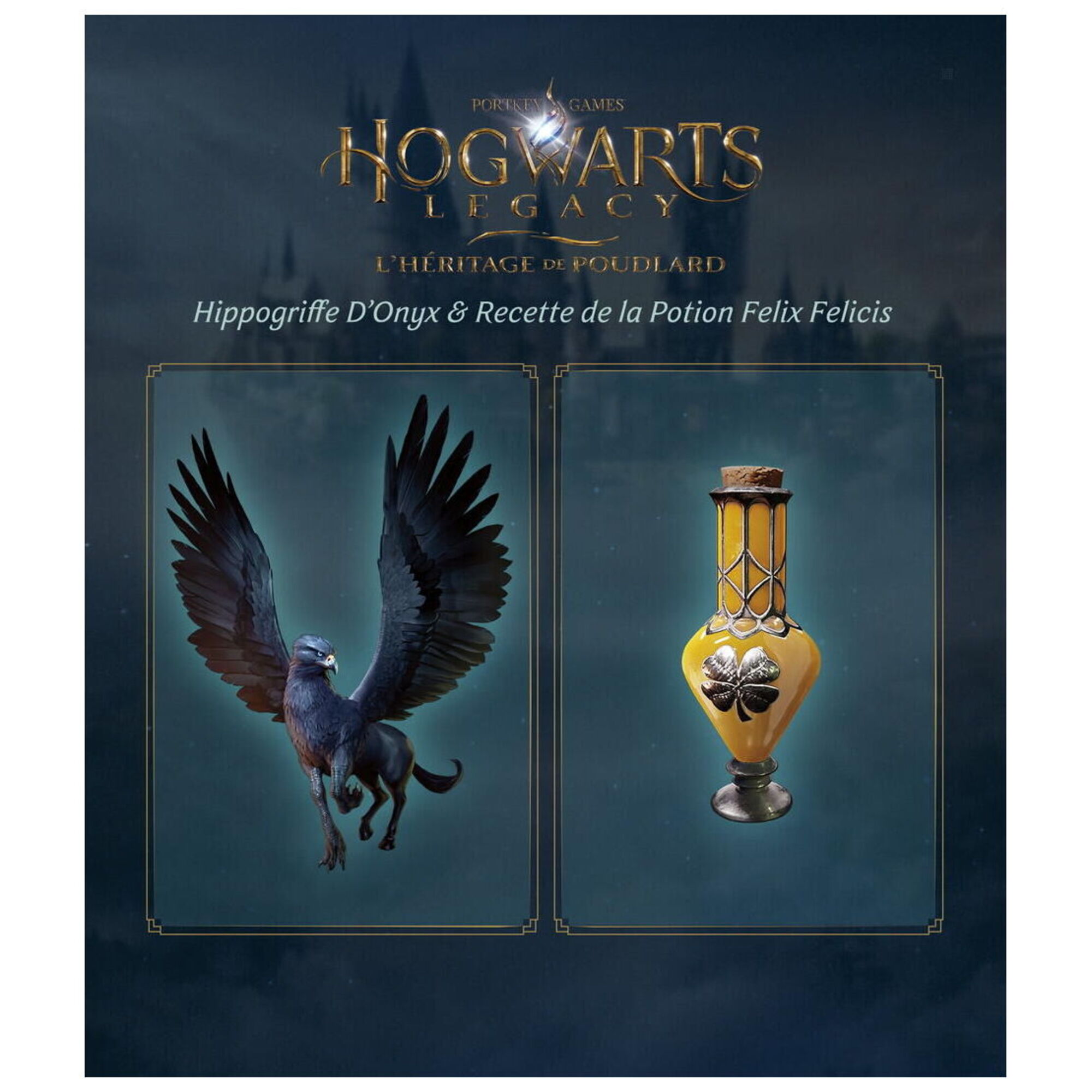 Hogwarts Legacy L'Héritage de Poudlard PS5 - Neuf