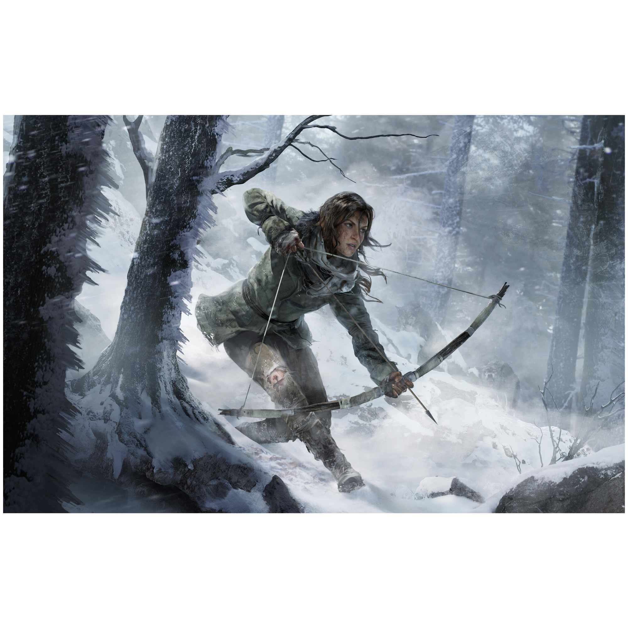 Square Enix Rise of the Tomb Raider - 20 Year Celebration Edition Premier jour Allemand, Anglais, Chinois simplifié, Coréen, Espagnol, Français, Italien, Japonais, Néerlandais, Polonais, Portugais, Russe PlayStation 4 - Neuf