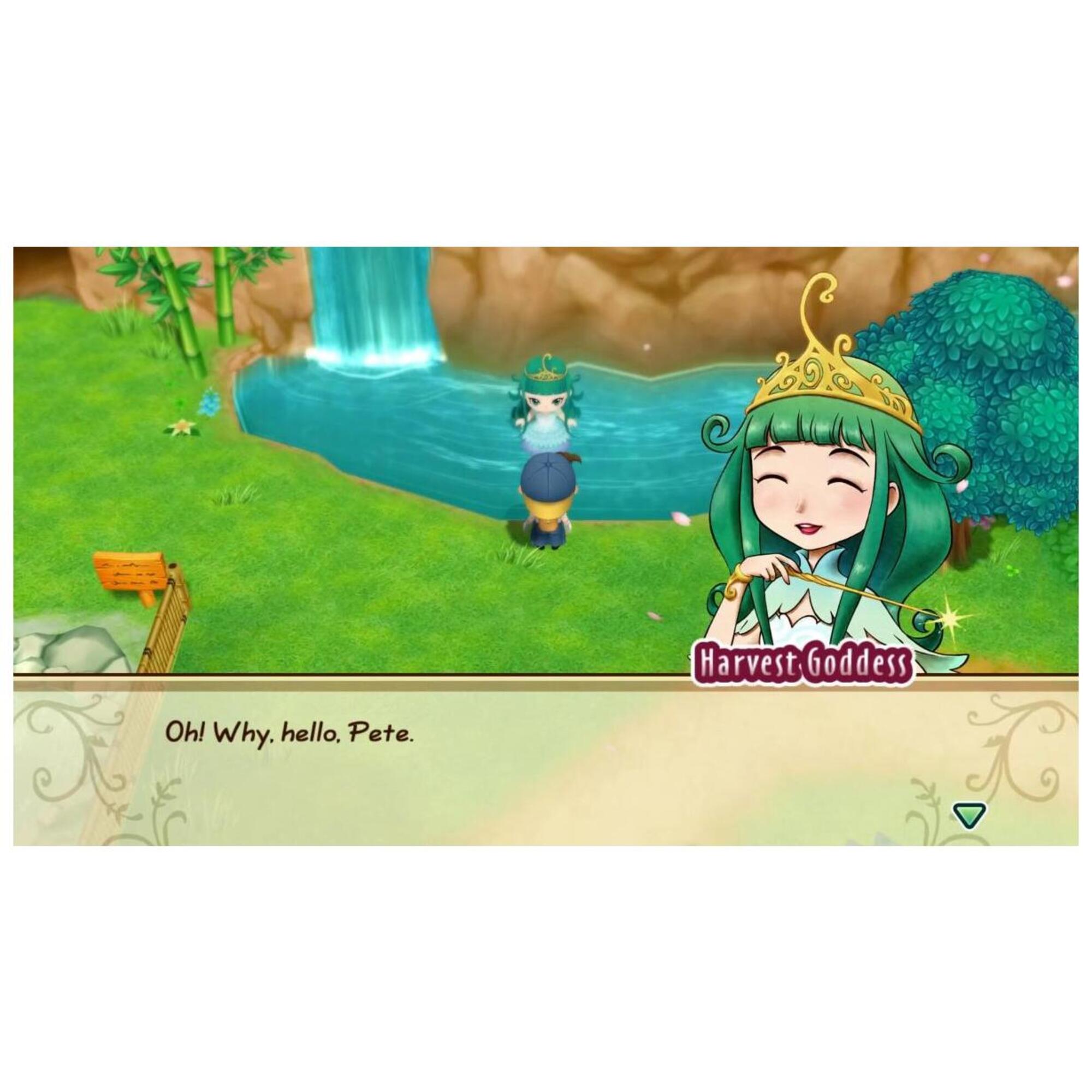 Story of Seasons : Friends of Mineral Town PS4 - Neuf