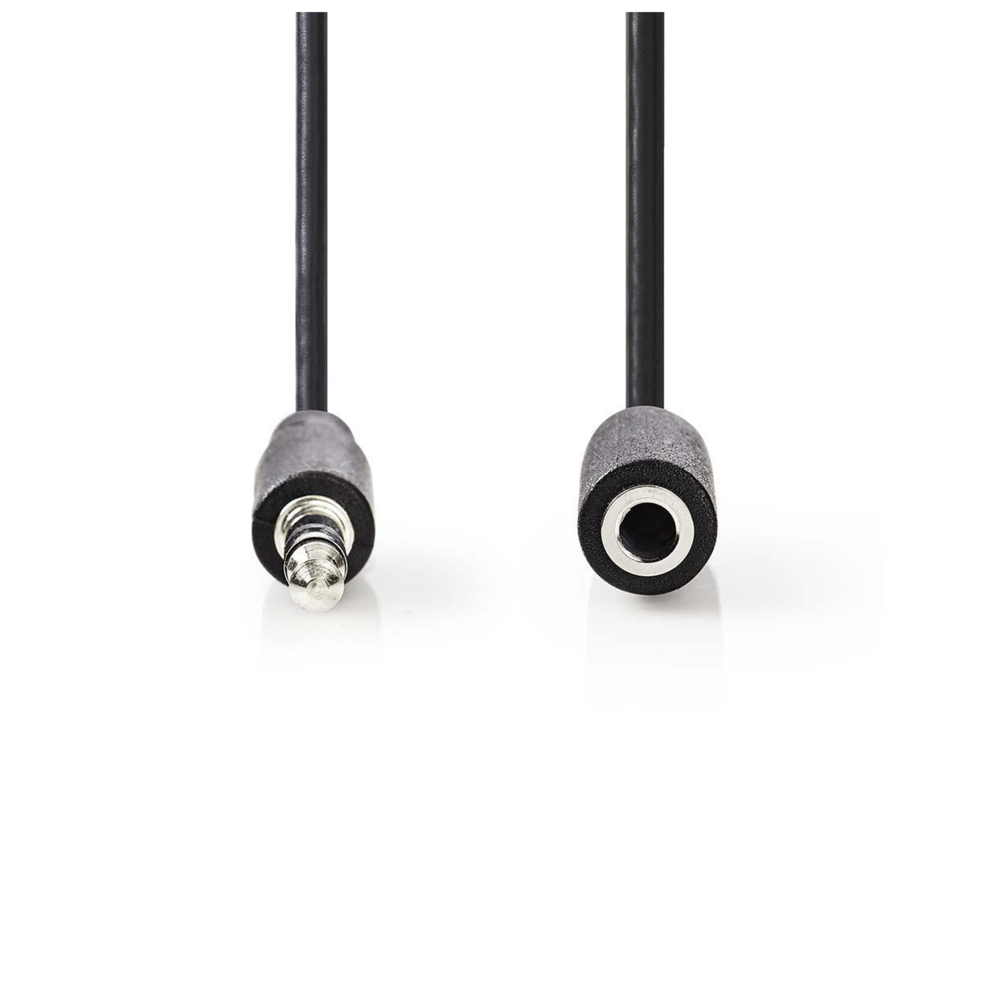 Nedis Câble Rallonge Audio Jack 10 M Connecteurs Mâle Vers Femelle Noir