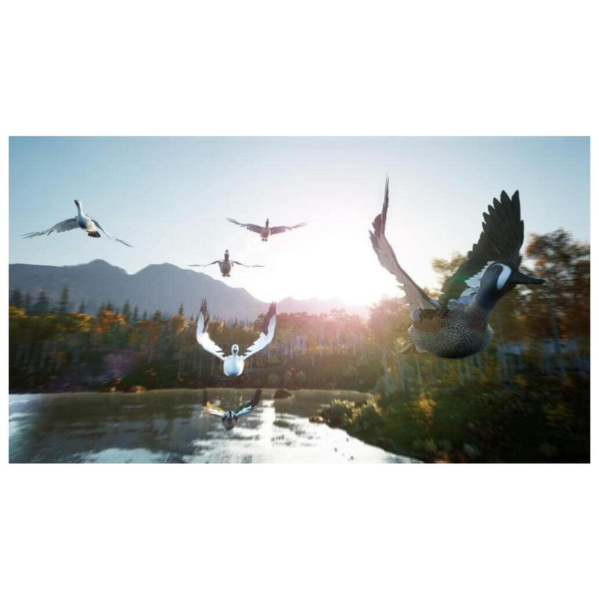 Hunting Simulator 2 Ps4 - vue 5