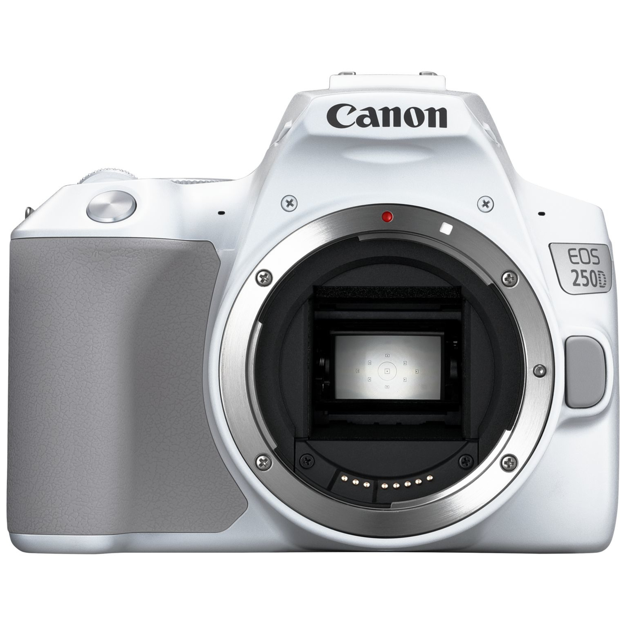 Canon EOS 250D + EF-S 18-55mm f/4-5.6 IS STM Kit d'appareil-photo SLR 24,1 MP CMOS 6000 x 4000 pixels Blanc - Neuf