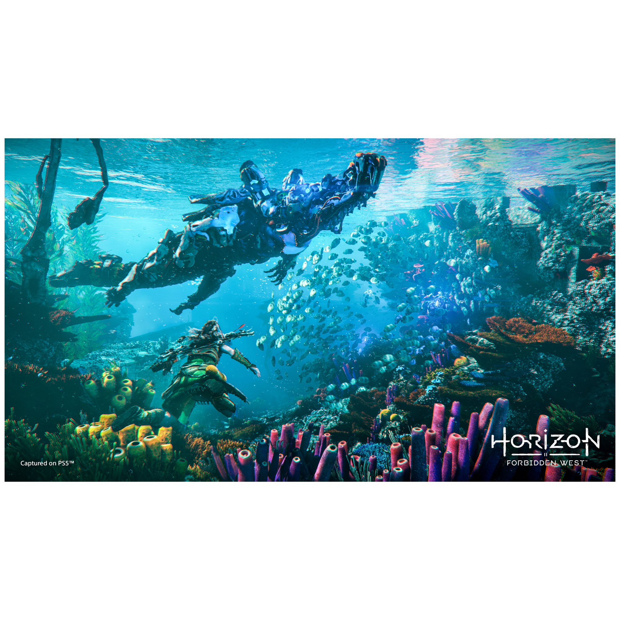 Sony Horizon: Forbidden West Standard Arabe, Espagnol, Polonais, Français, Italien, Portugais, Japonais, Russe, Allemand PlayStation 4 - Neuf