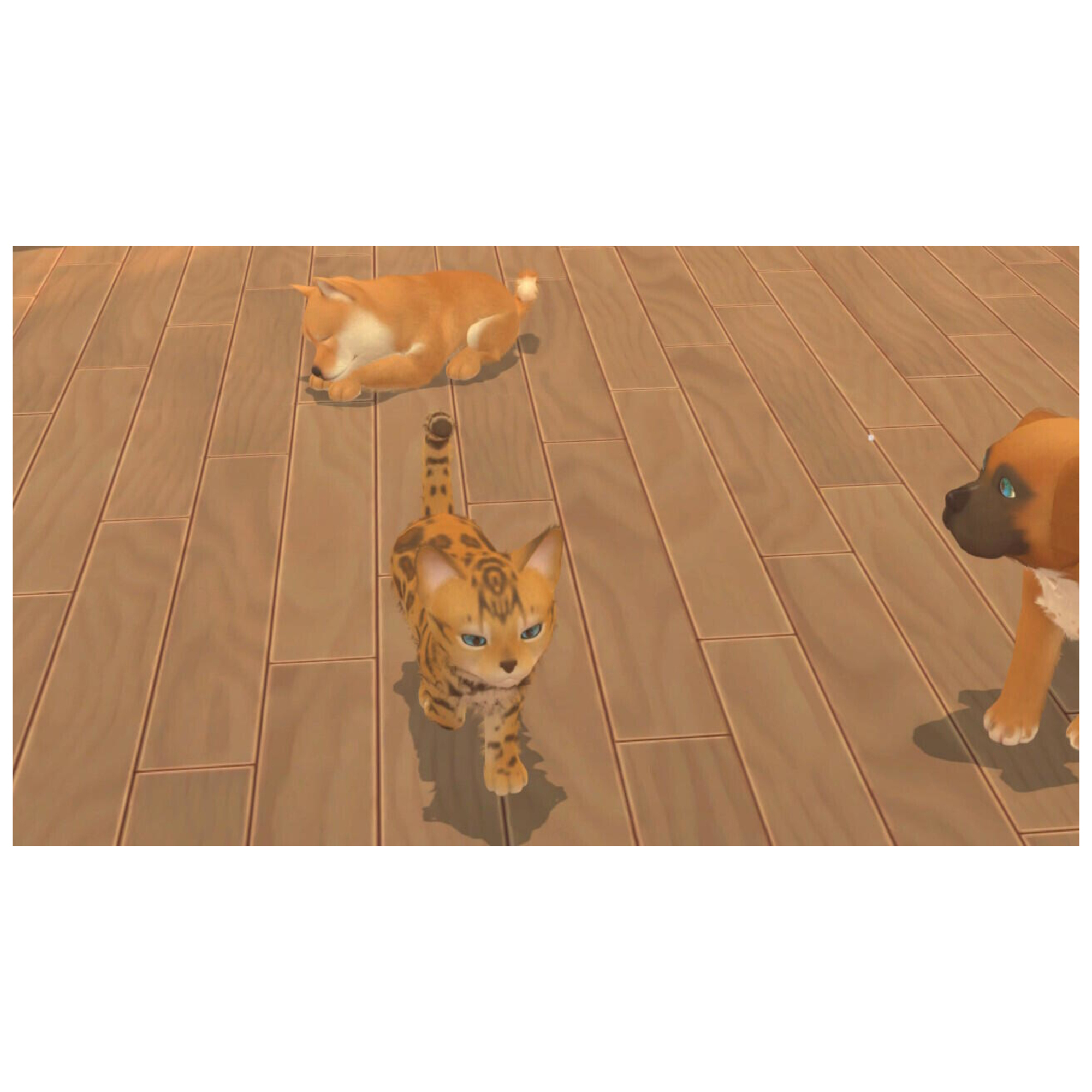 MY UNIVERSE My Baby : Chiens & Chats SWITCH - vue 3