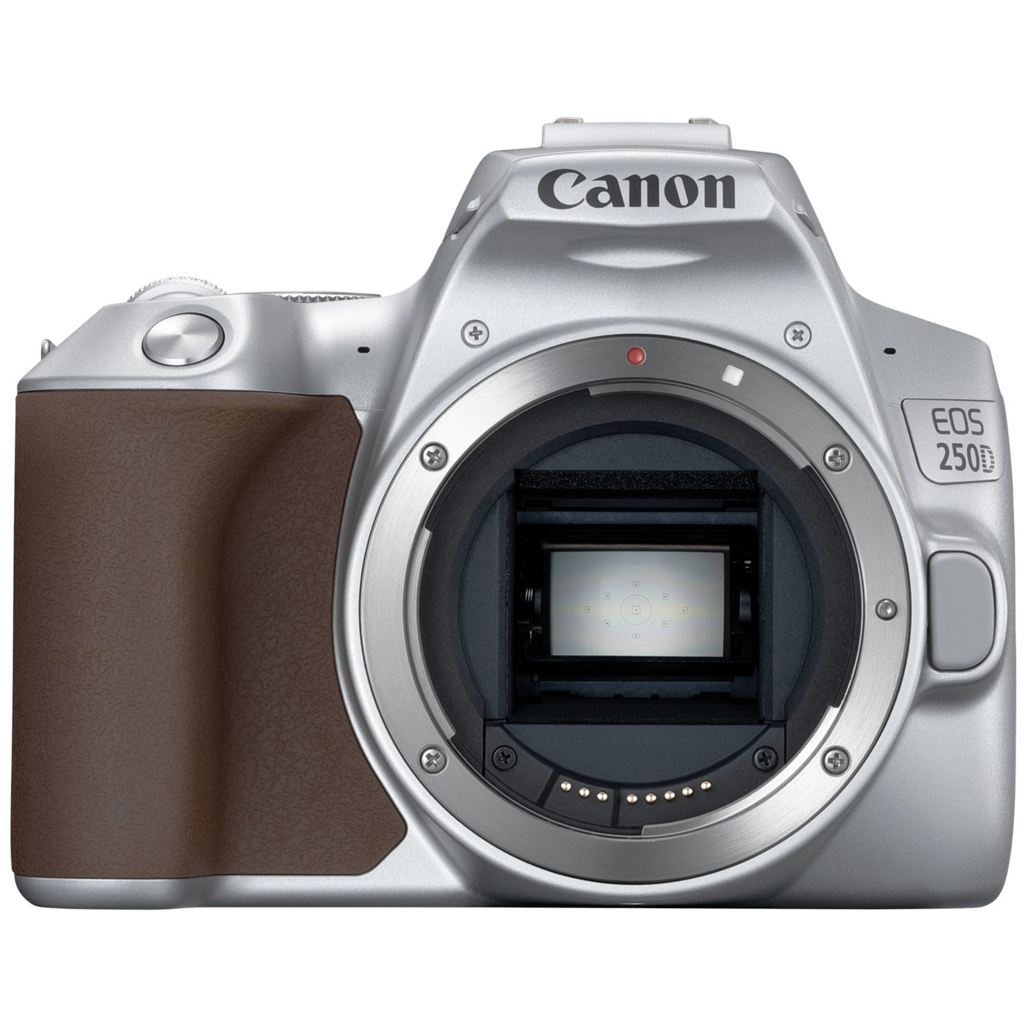 Canon EOS 250D + EF-S 18-55mm f/4-5.6 IS STM Kit d'appareil-photo SLR 24,1 MP CMOS 6000 x 4000 pixels Argent - Neuf