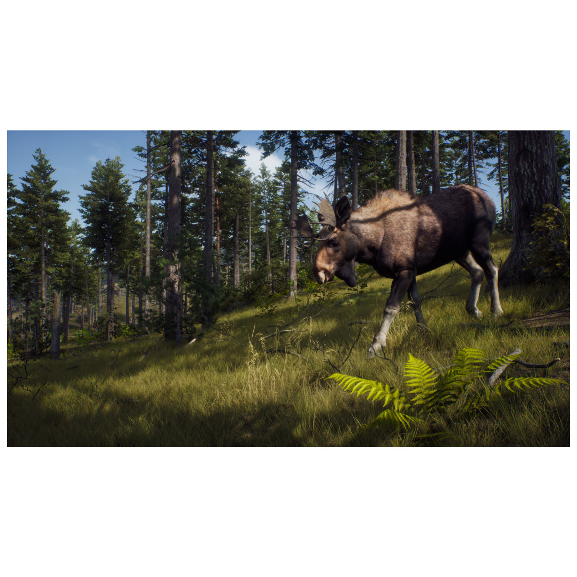 Way of the Hunter PC - Neuf