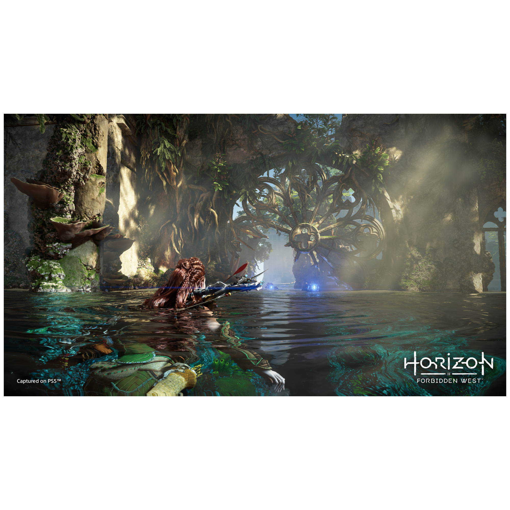 Sony Horizon: Forbidden West Standard Multilingue PlayStation 5 - Neuf