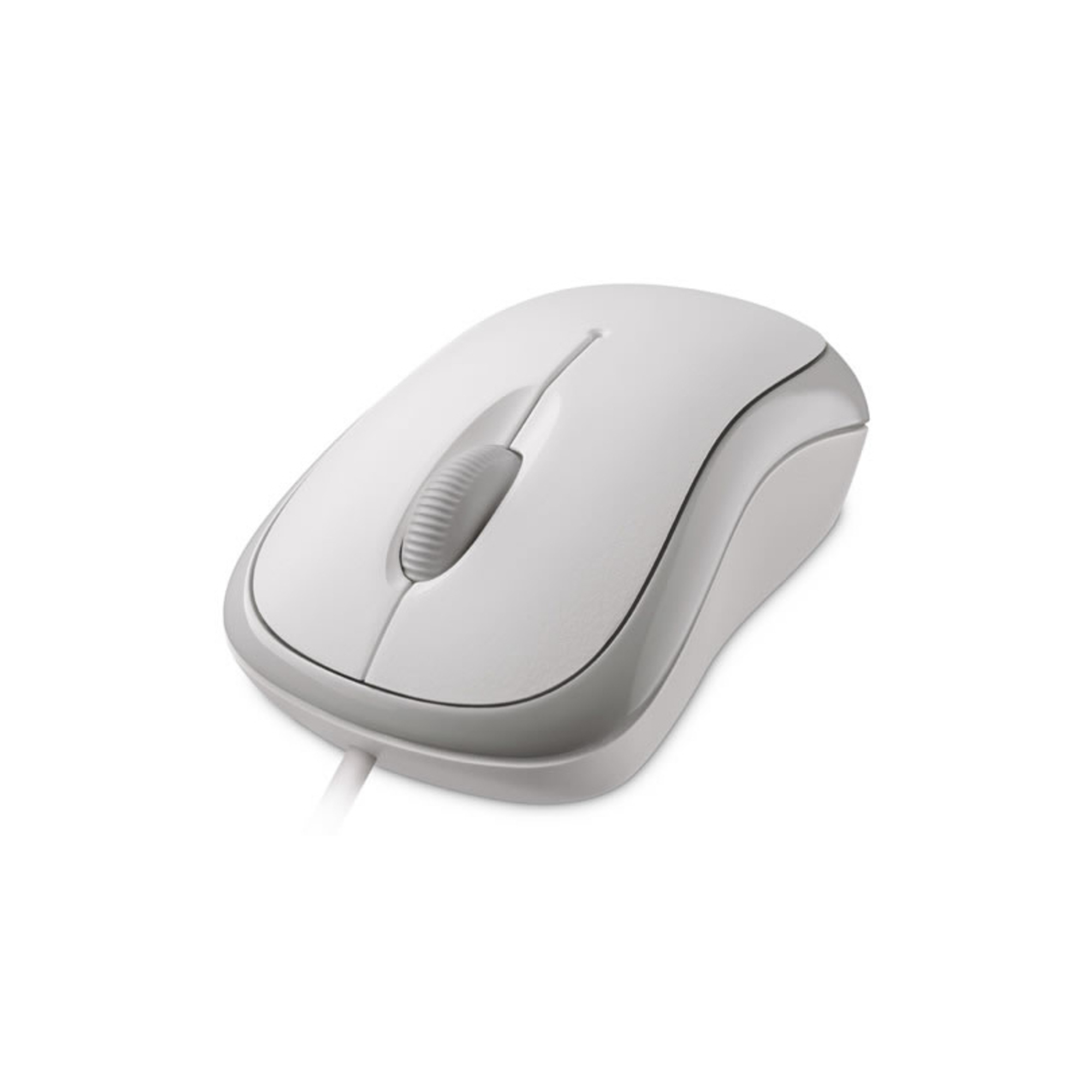 Microsoft Basic Optical Mouse for Business souris Bureau Ambidextre USB Type-A Optique 800 DPI - Neuf