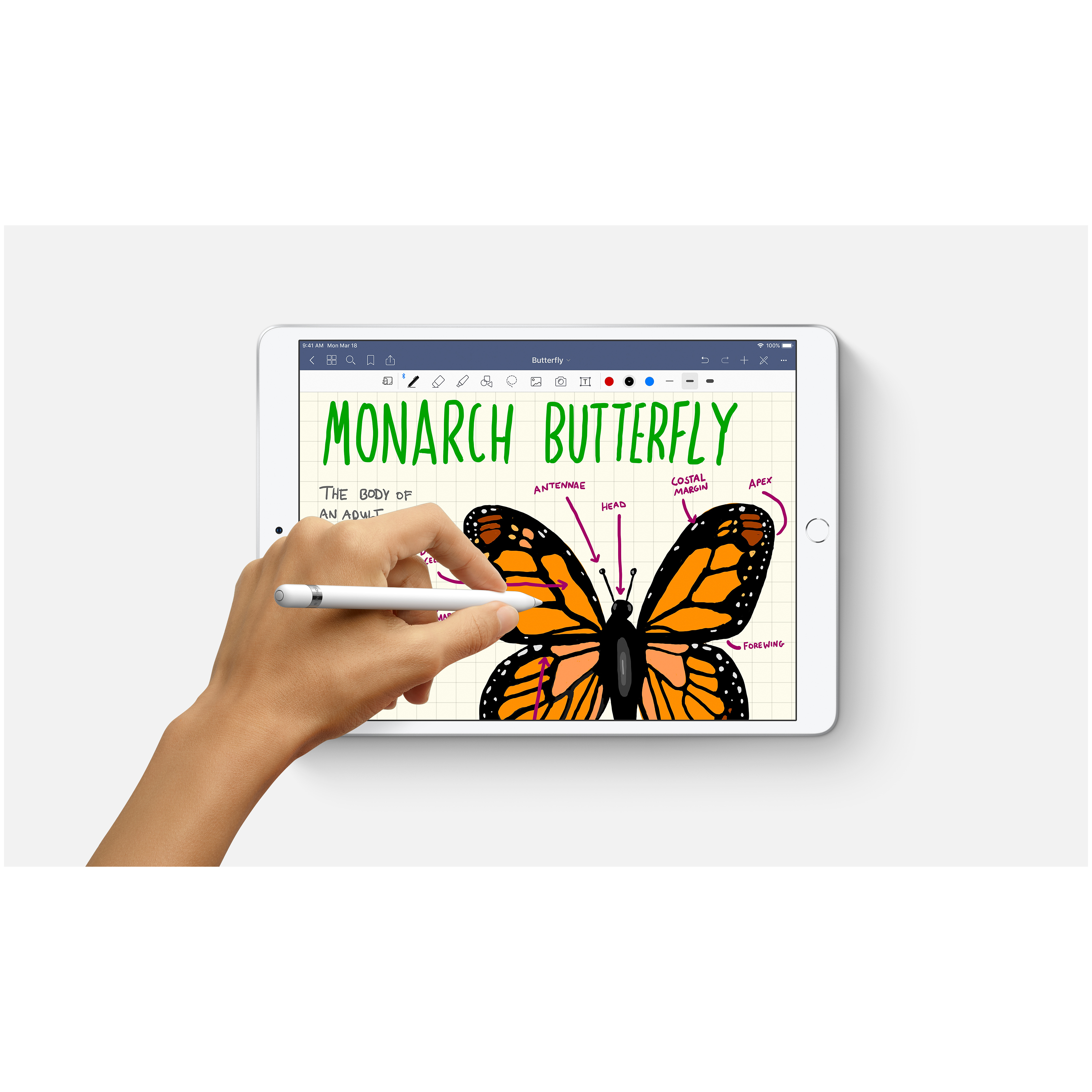 Apple iPad Air 10.5" (2019) Argent Reconditionné - vue 3