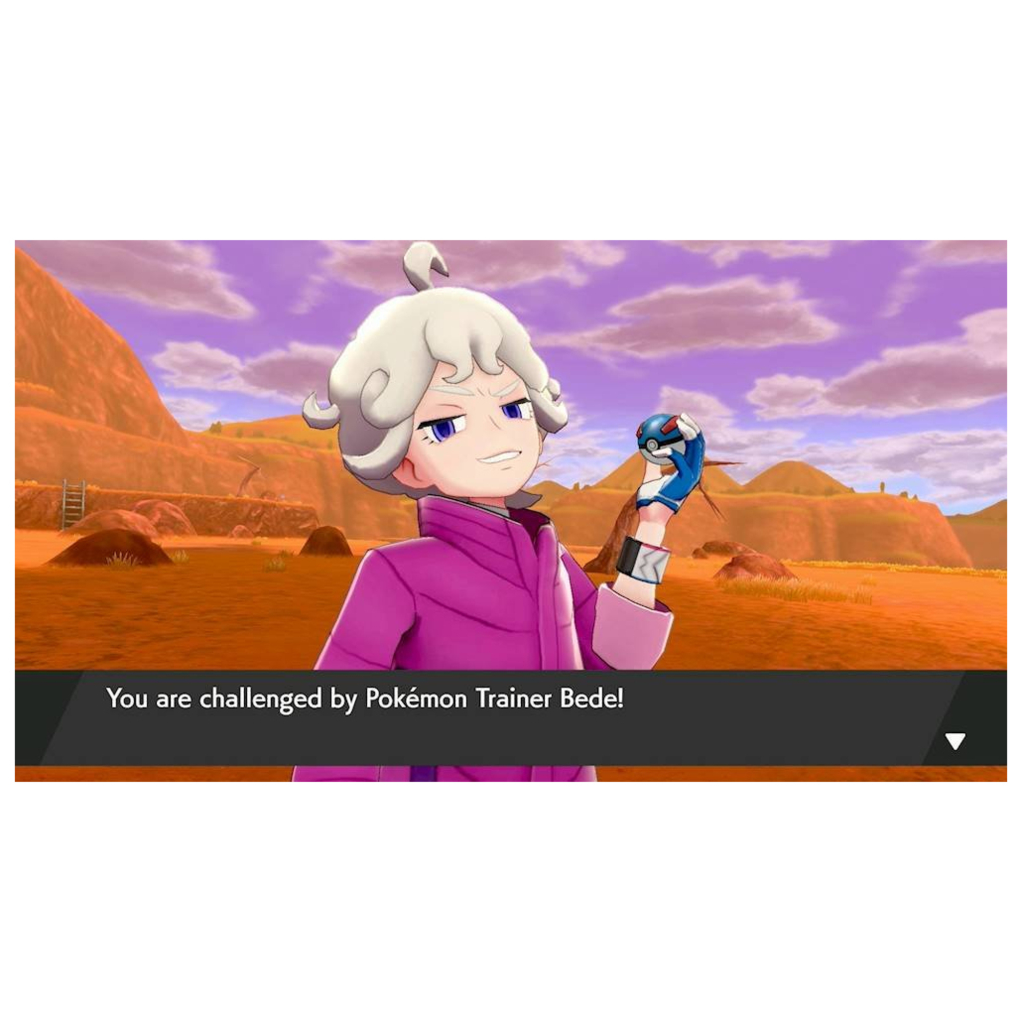 Pokémon bouclier SWITCH - vue 6