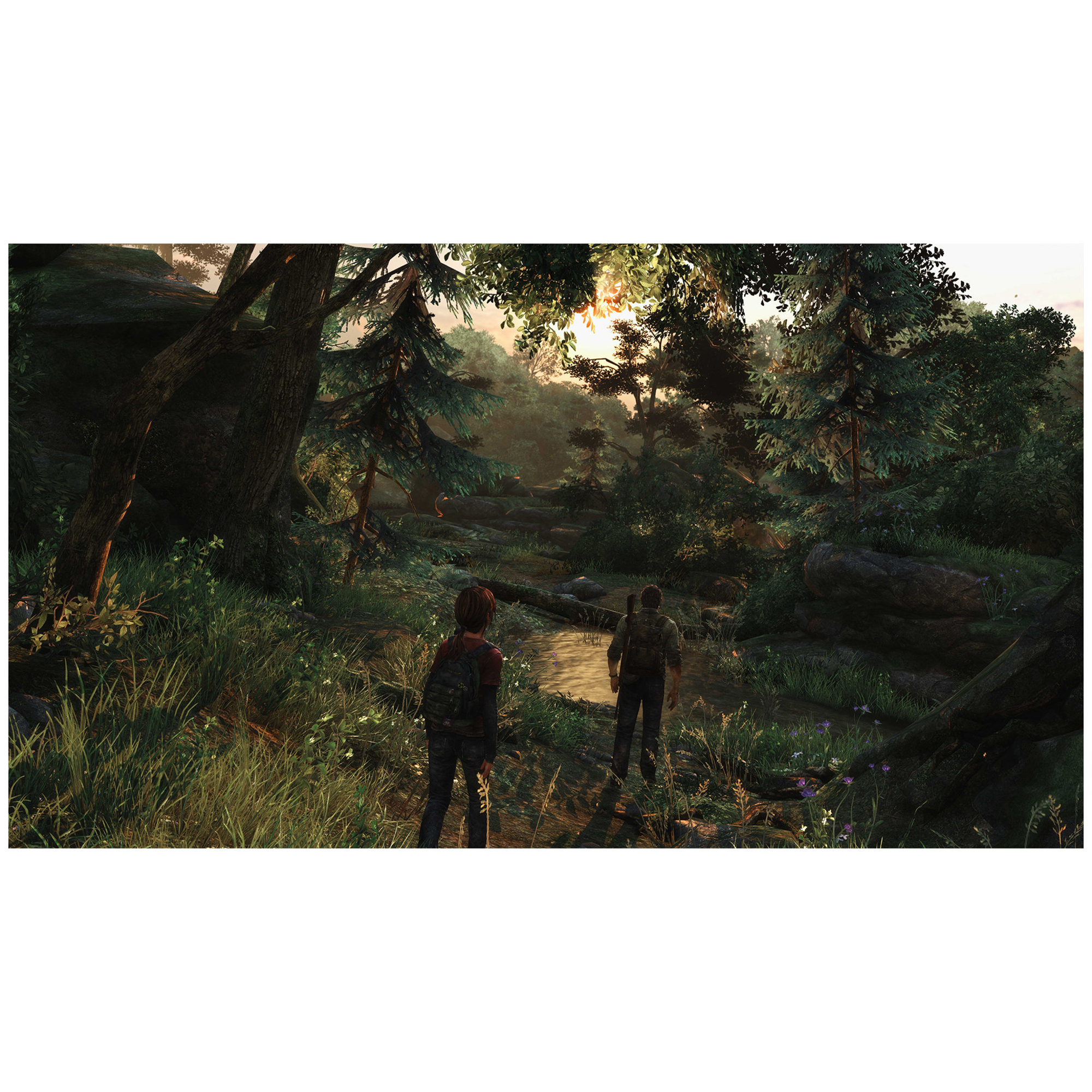 Sony The Last of Us: Remastered Remastérisé Anglais, Français PlayStation 4 - Neuf