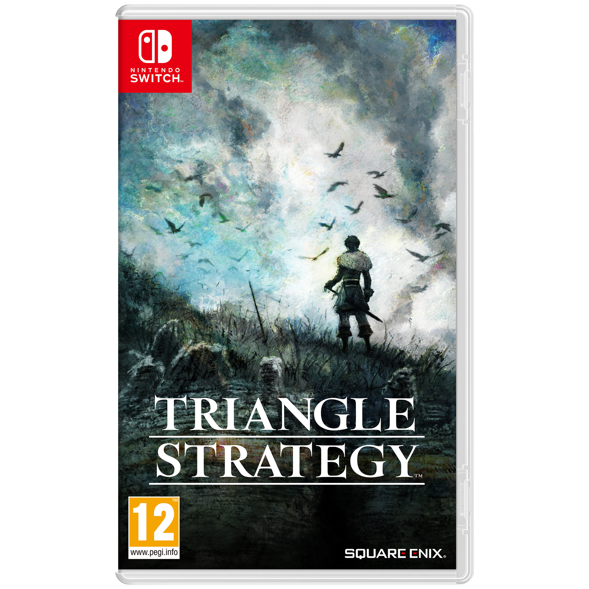 Nintendo Triangle Strategia Standard Multilingua Nintendo Switch - nuovo