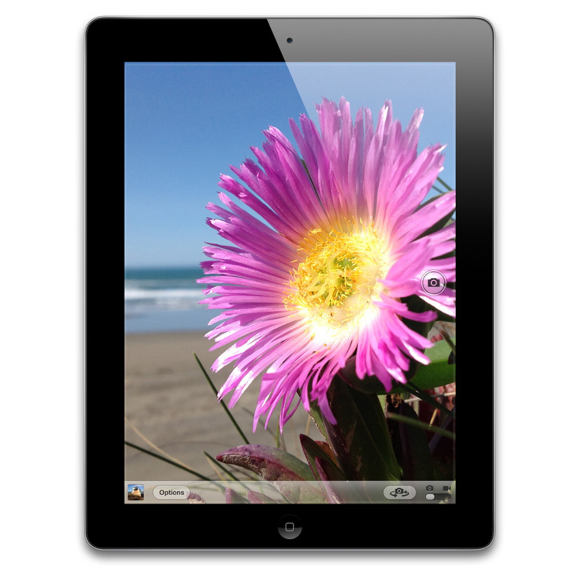 Apple iPad 32GB Wi-Fi 32 Go 24,6 cm (9.7 ) Wi-Fi 4 (802.11n) iOS Noir - Bon état