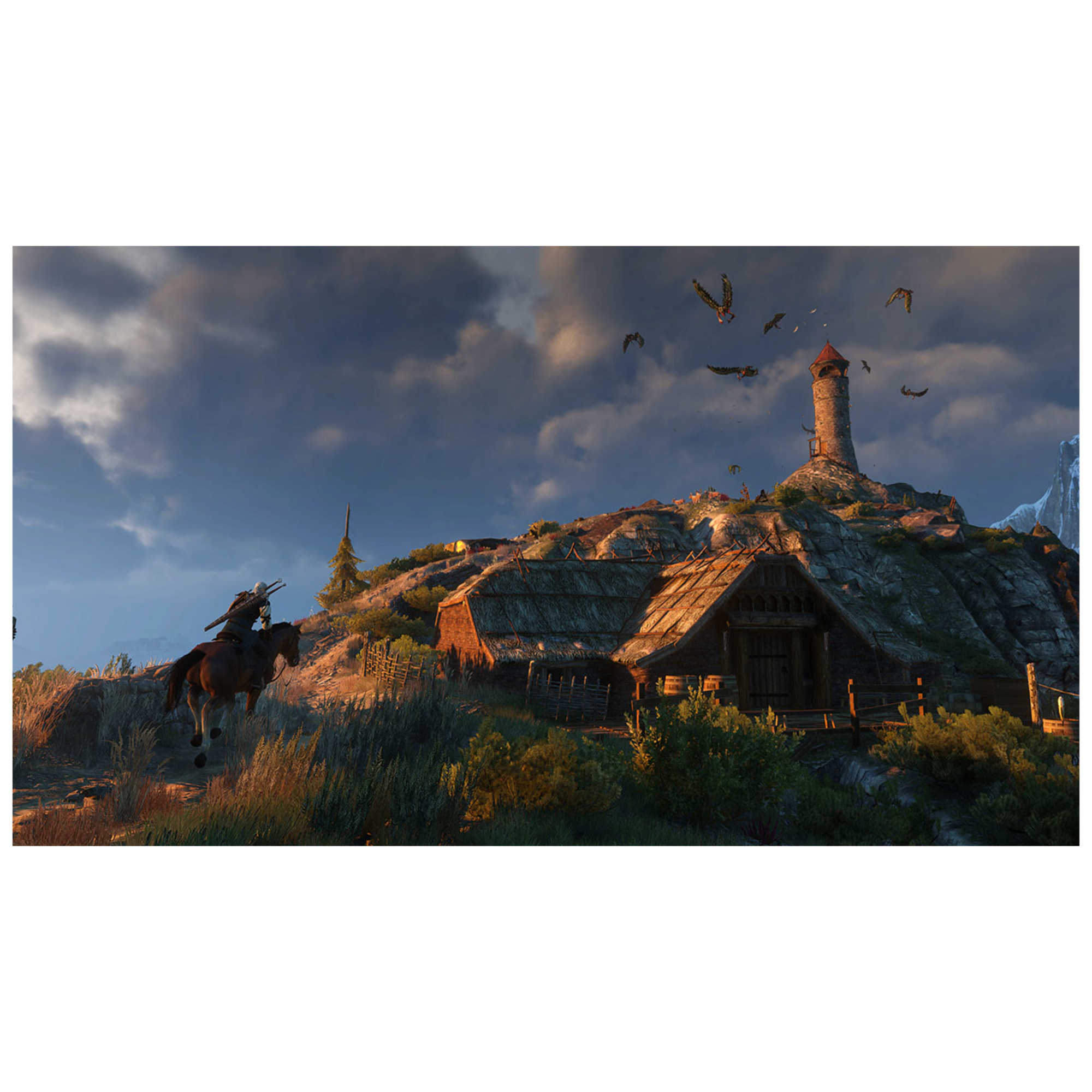 BANDAI NAMCO Entertainment The Witcher 3: Wild Hunt - Game of the Year Edition, PS4 Anglais PlayStation 4 - Neuf