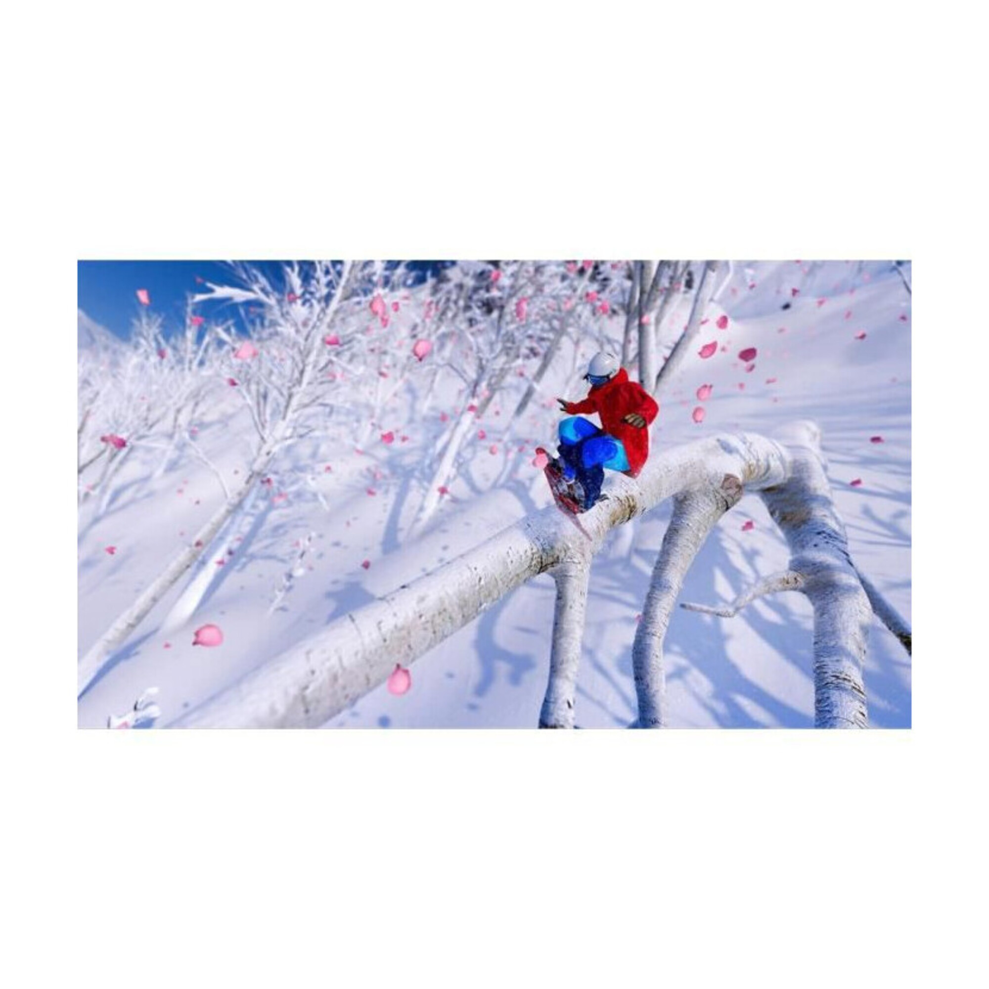 Steep Edition Jeux d'Hiver PS4 Jeu de base + Extension Neuf - vue 3