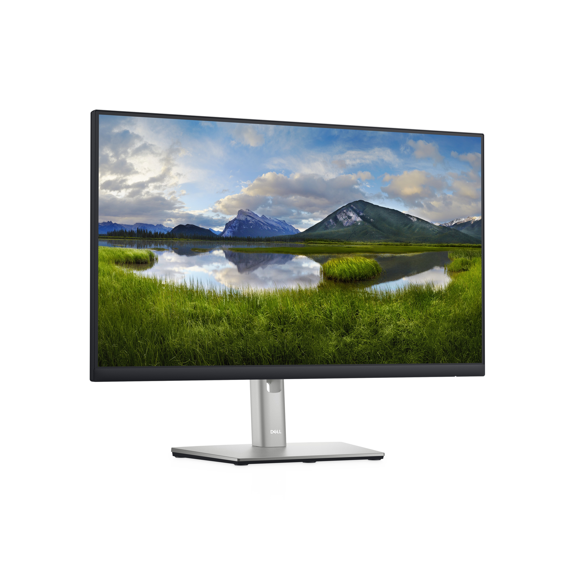 DELL P Series Écran 24 – P2422H - Neuf