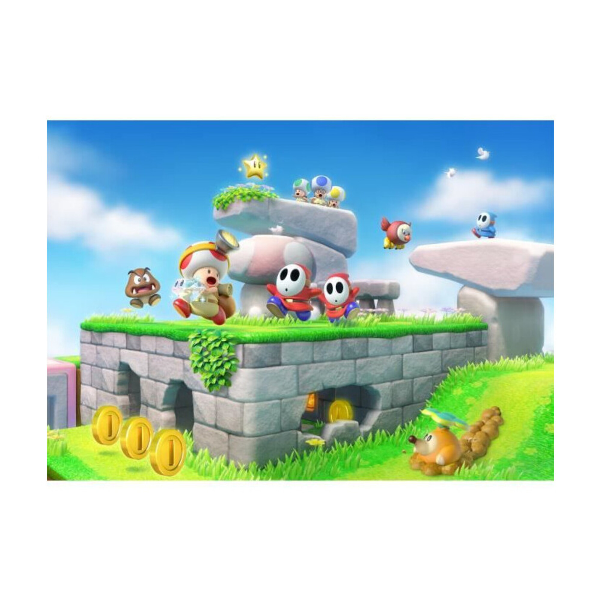 Captain Toad: Treasure Tracker Jeu Switch - Neuf