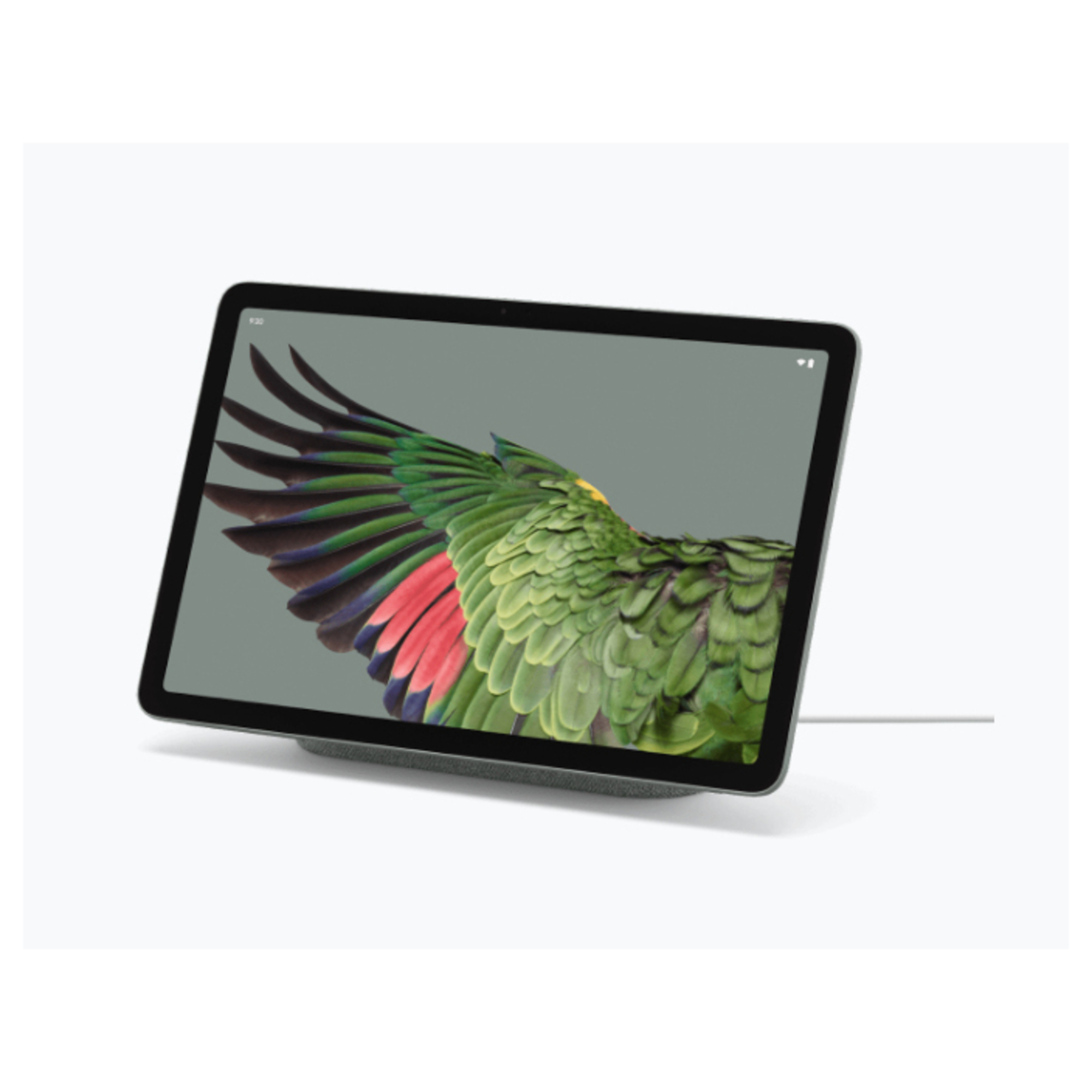 Pixel Tablet 128 Go (10.9 ), Vert Sauge - Neuf