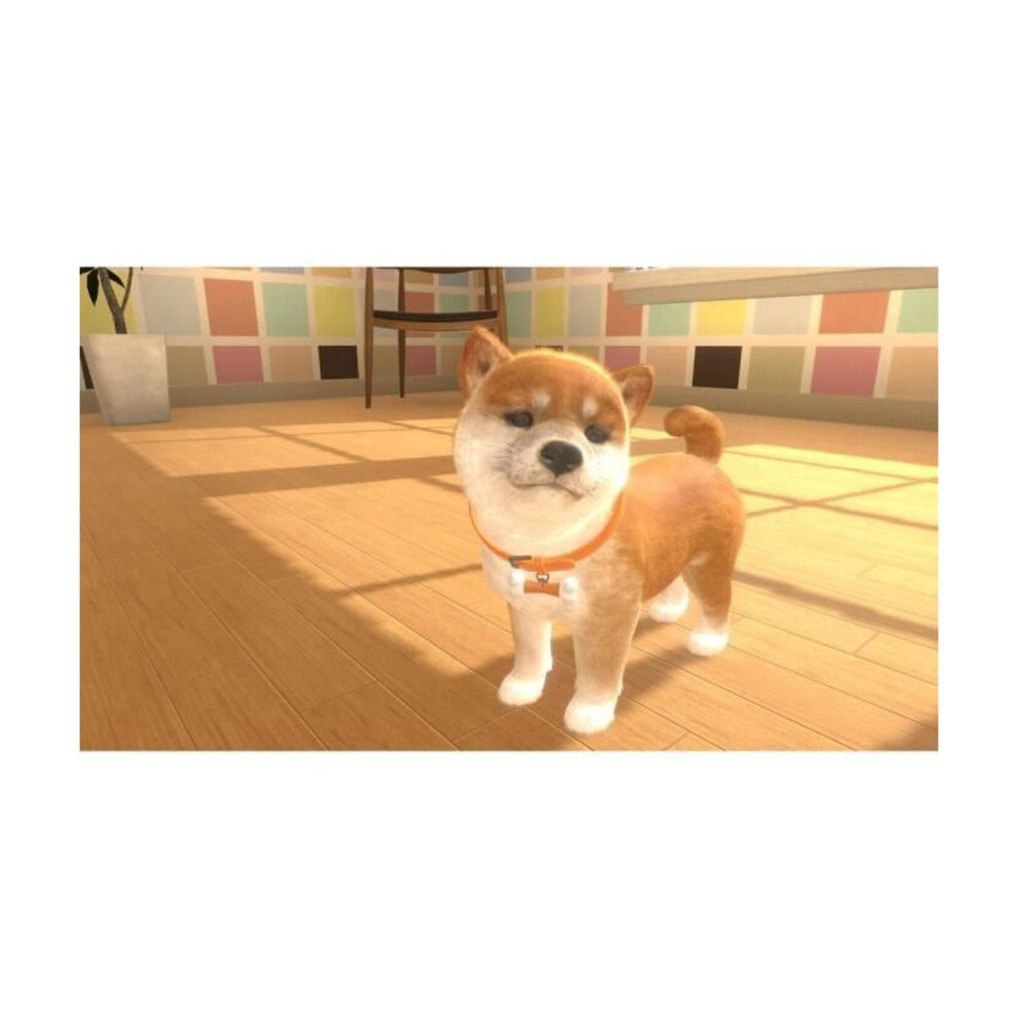 Little Friends Dogs and Cats SWITCH Neuf - vue 2