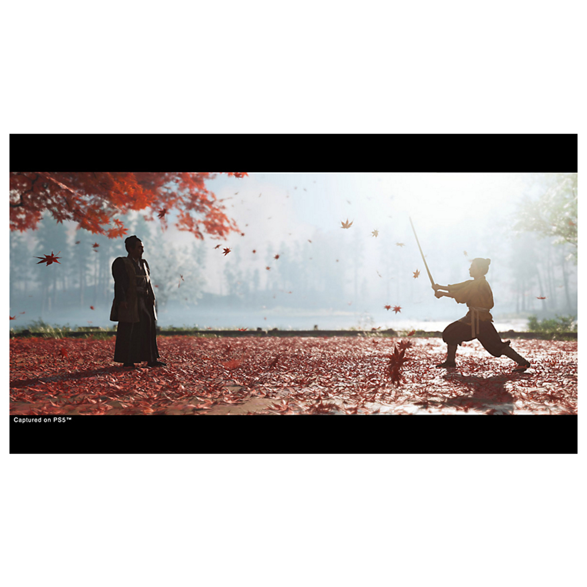 Jeu vidéo Sony Ghost of Tsushima Directors Cut PS5 physique - vue 5