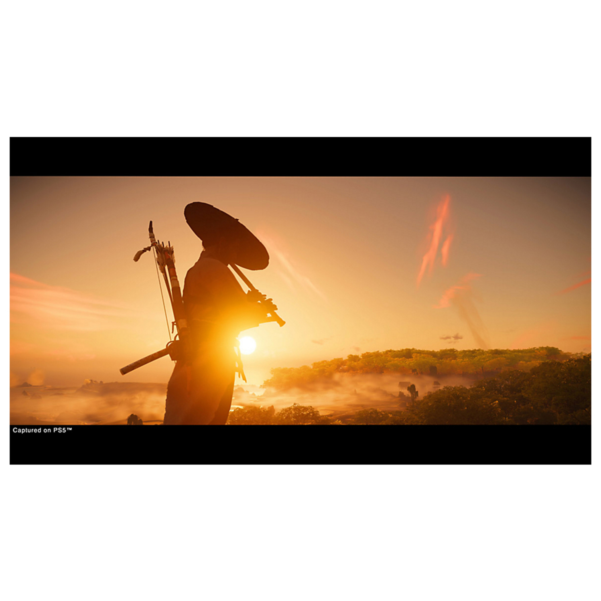Jeu vidéo Sony Ghost of Tsushima Directors Cut PS5 physique - vue 4