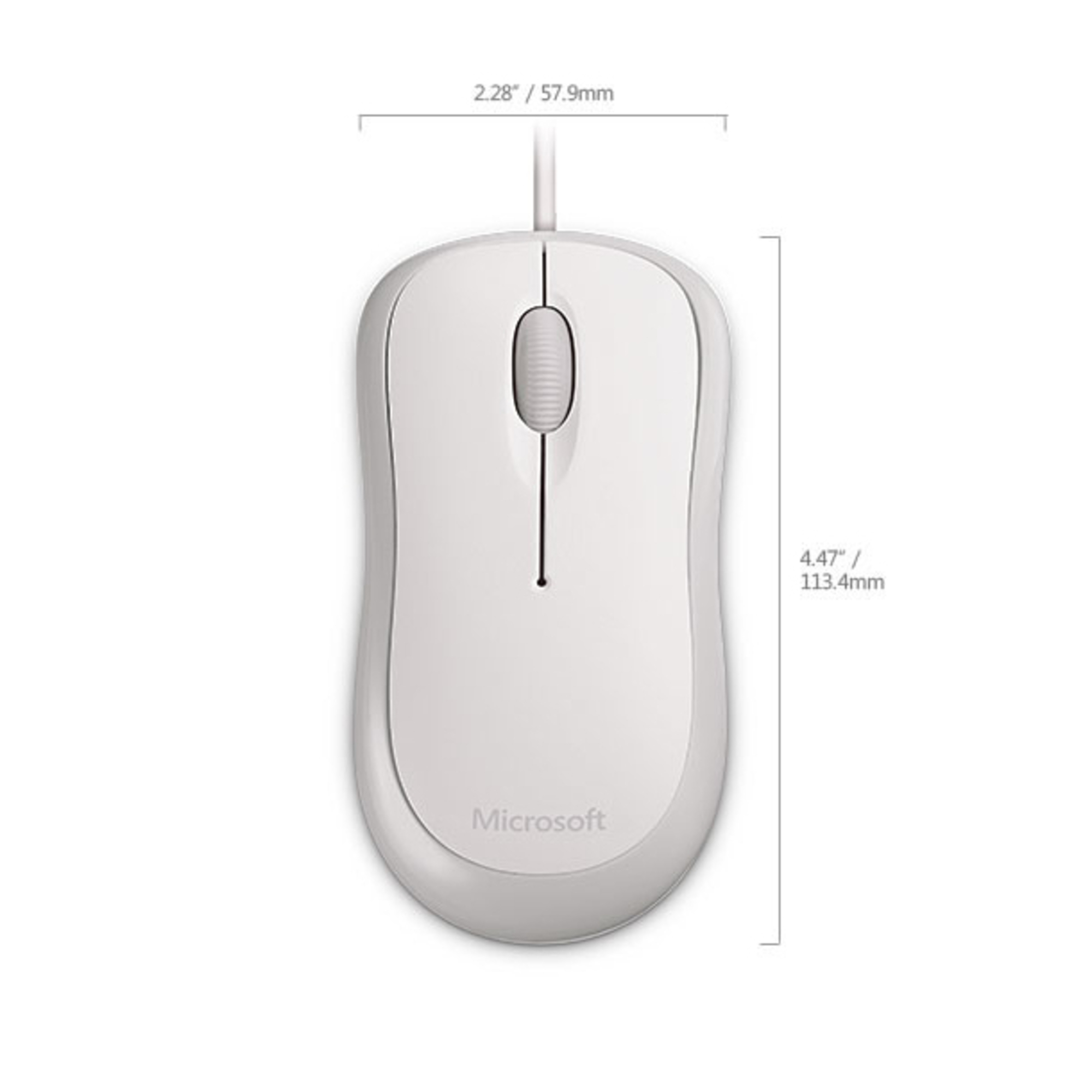 Microsoft Basic Optical Mouse for Business souris Bureau Ambidextre USB Type-A Optique 800 DPI - Neuf