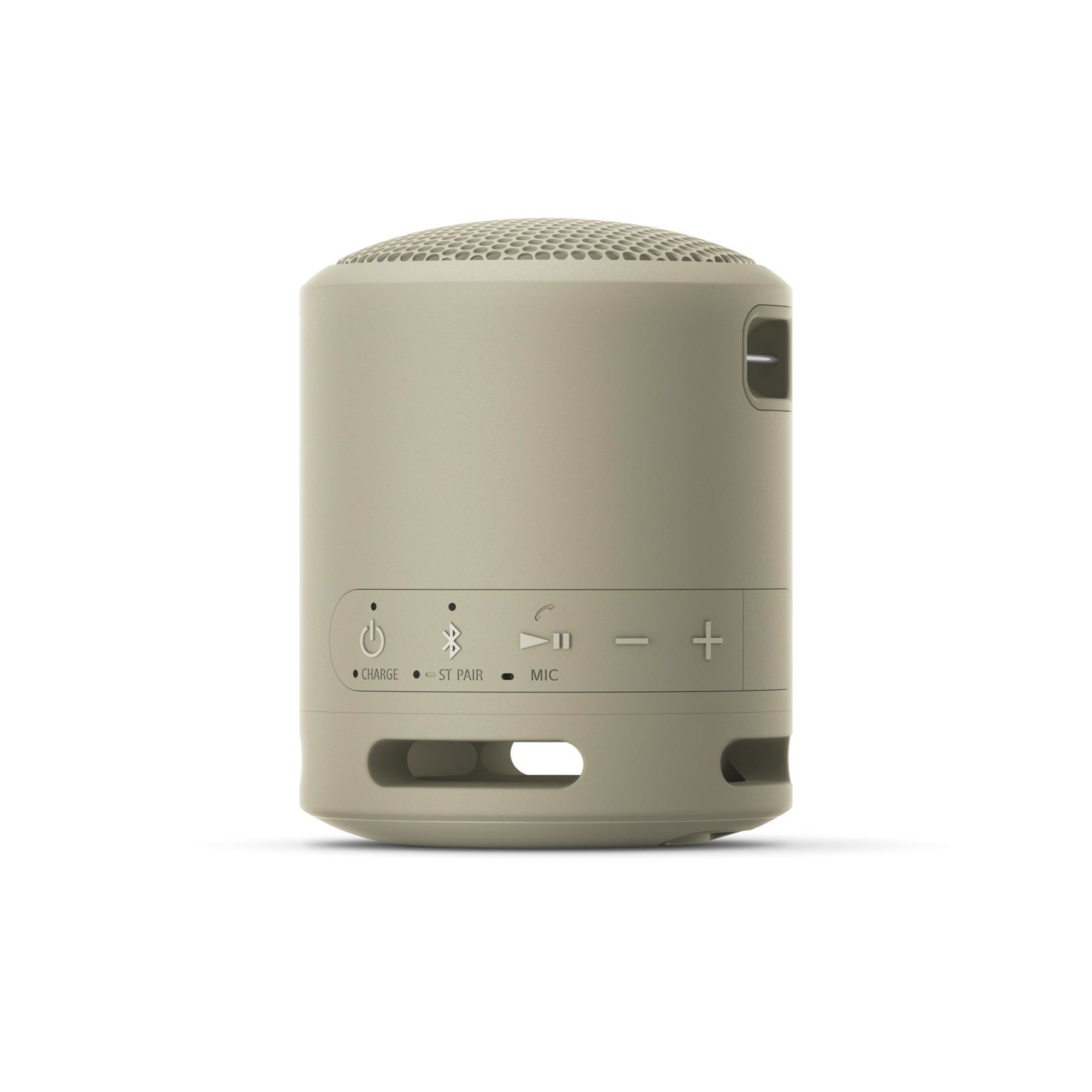 Sony SRSXB13 Enceinte portable stéréo Taupe 5 W - Neuf