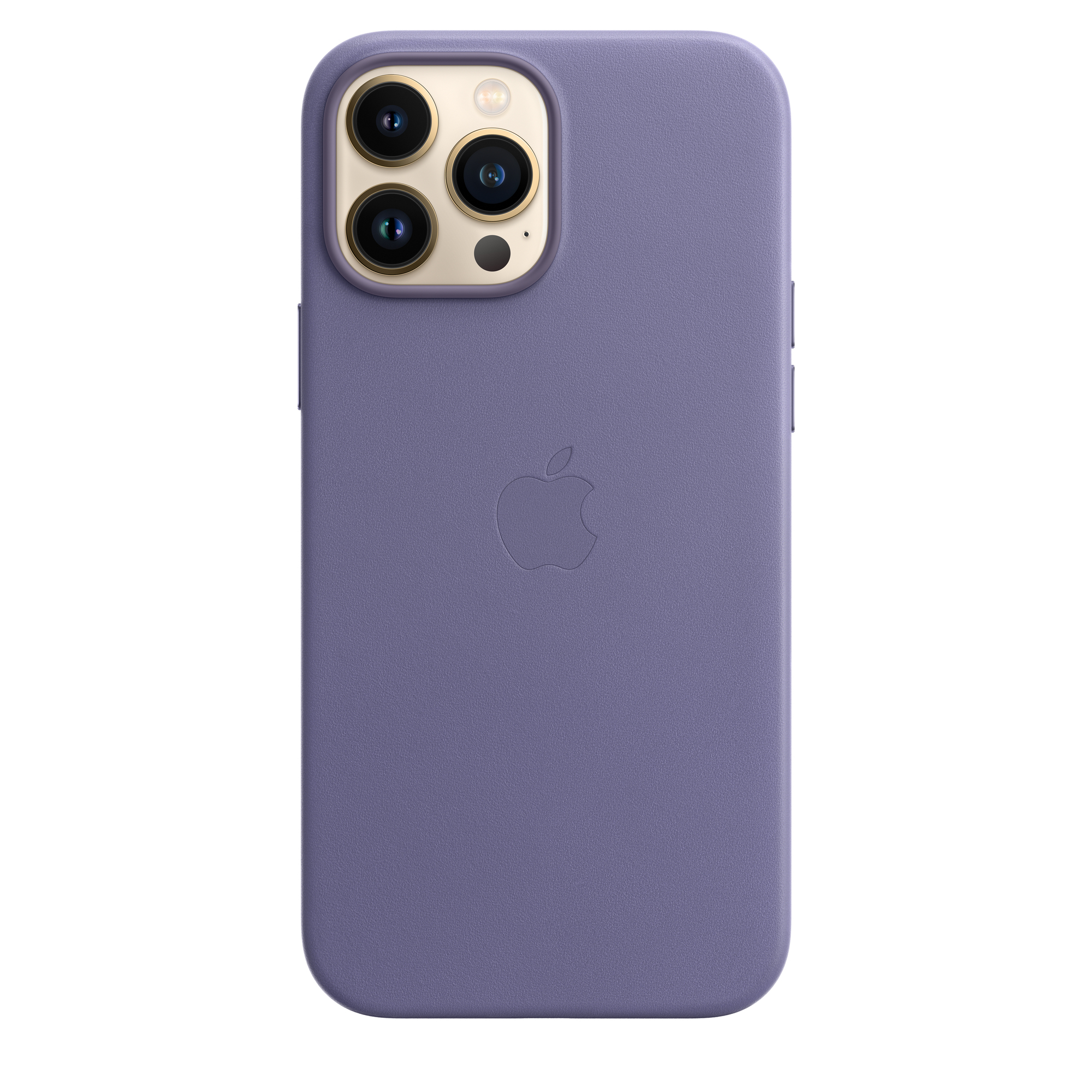 Apple Coque Leather MagSafe iPhone 13 Pro Max Westeria - vue 3