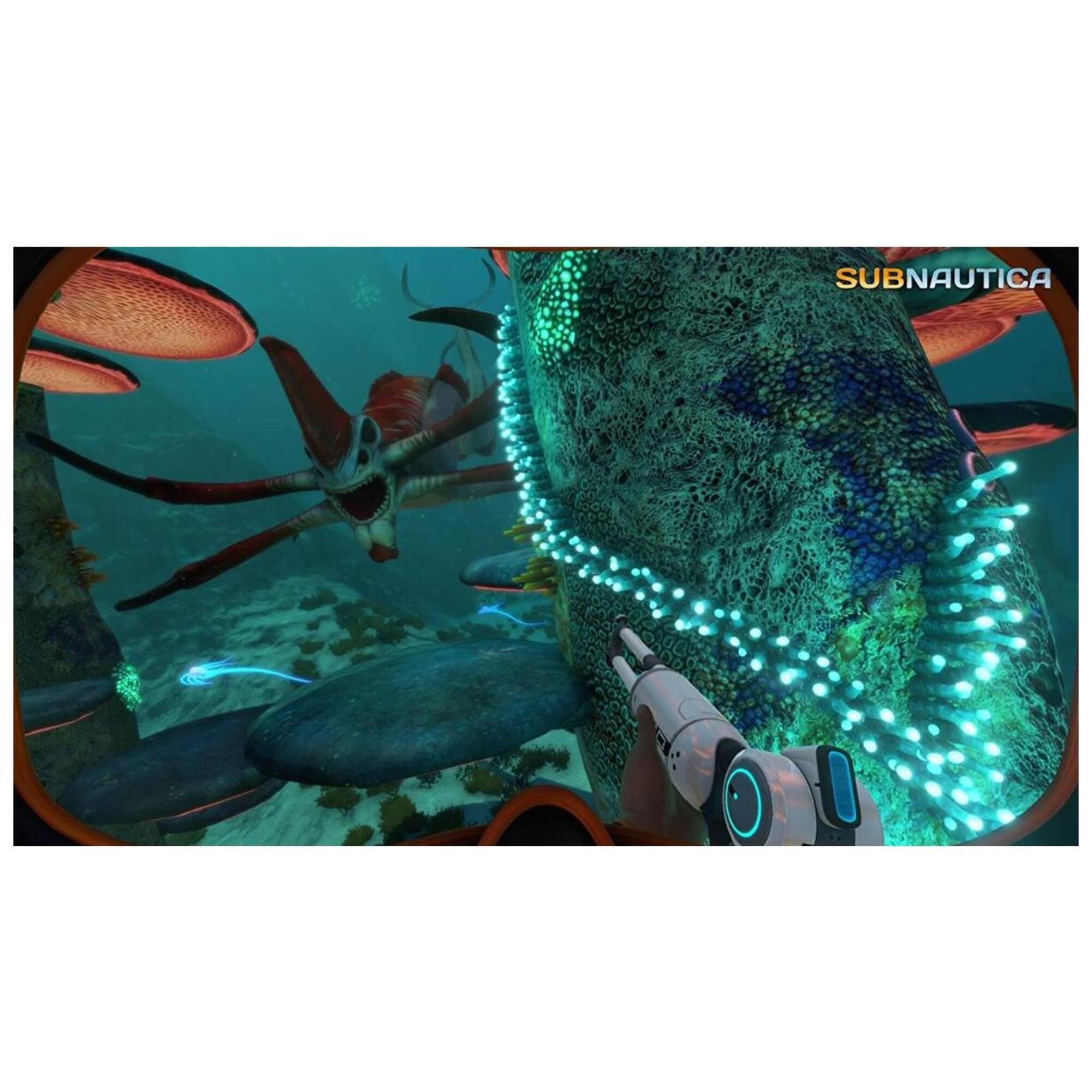 Subnautica - vue 3