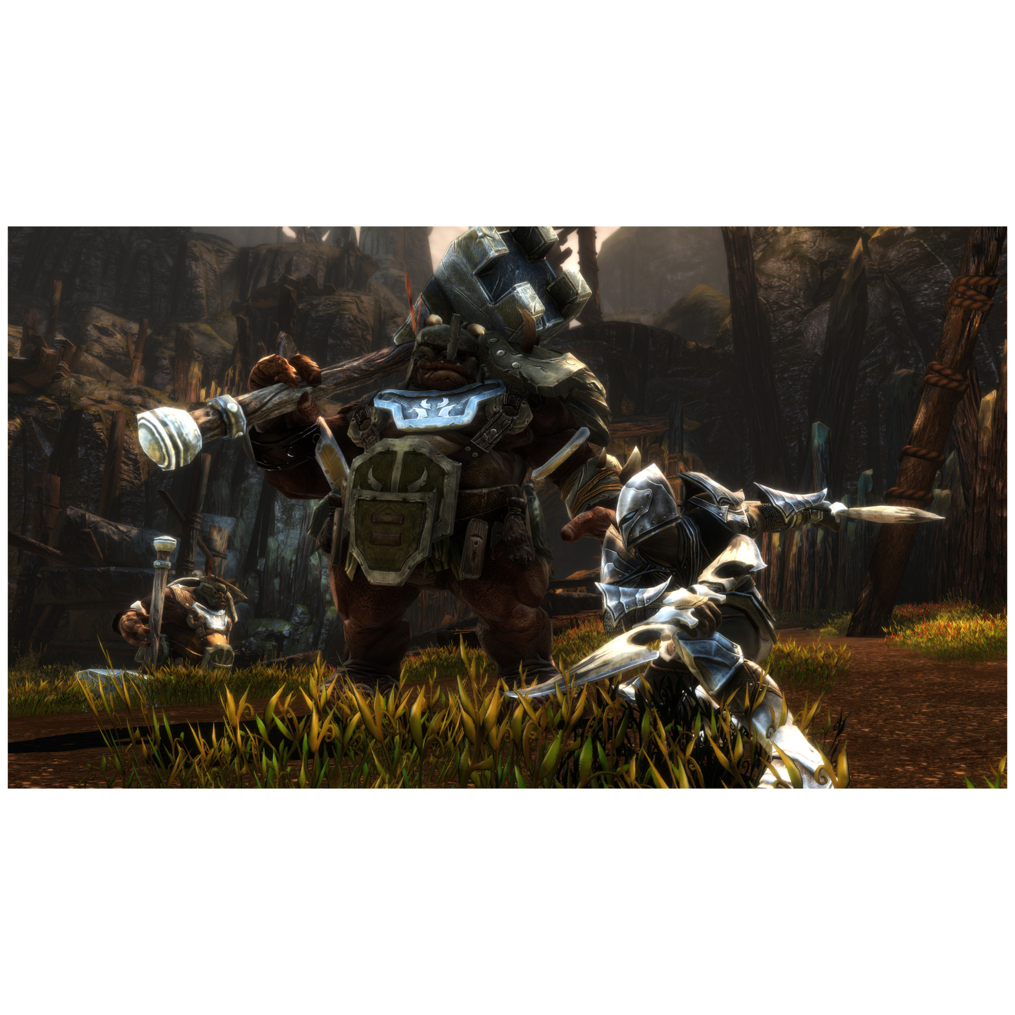 Kingdoms Of Amalur : Re Reckoning Ps4 - vue 4