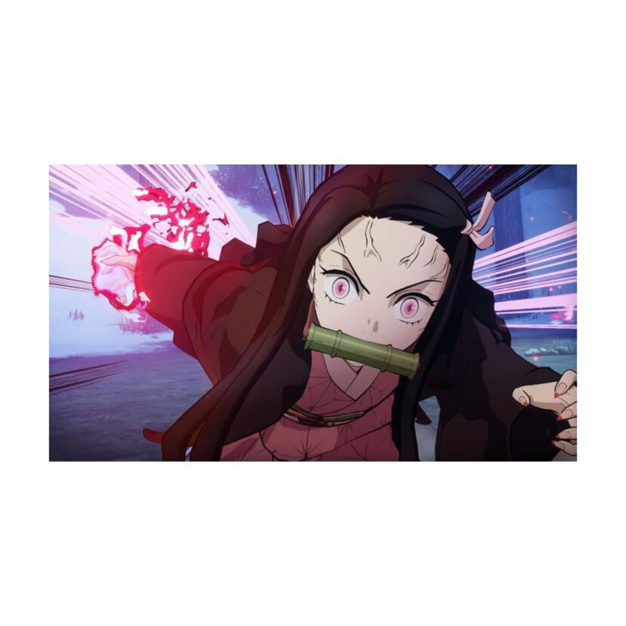 Demon Slayer Kimetsu no Yaiba : The Hinokami Chronicles PS4 - vue 8