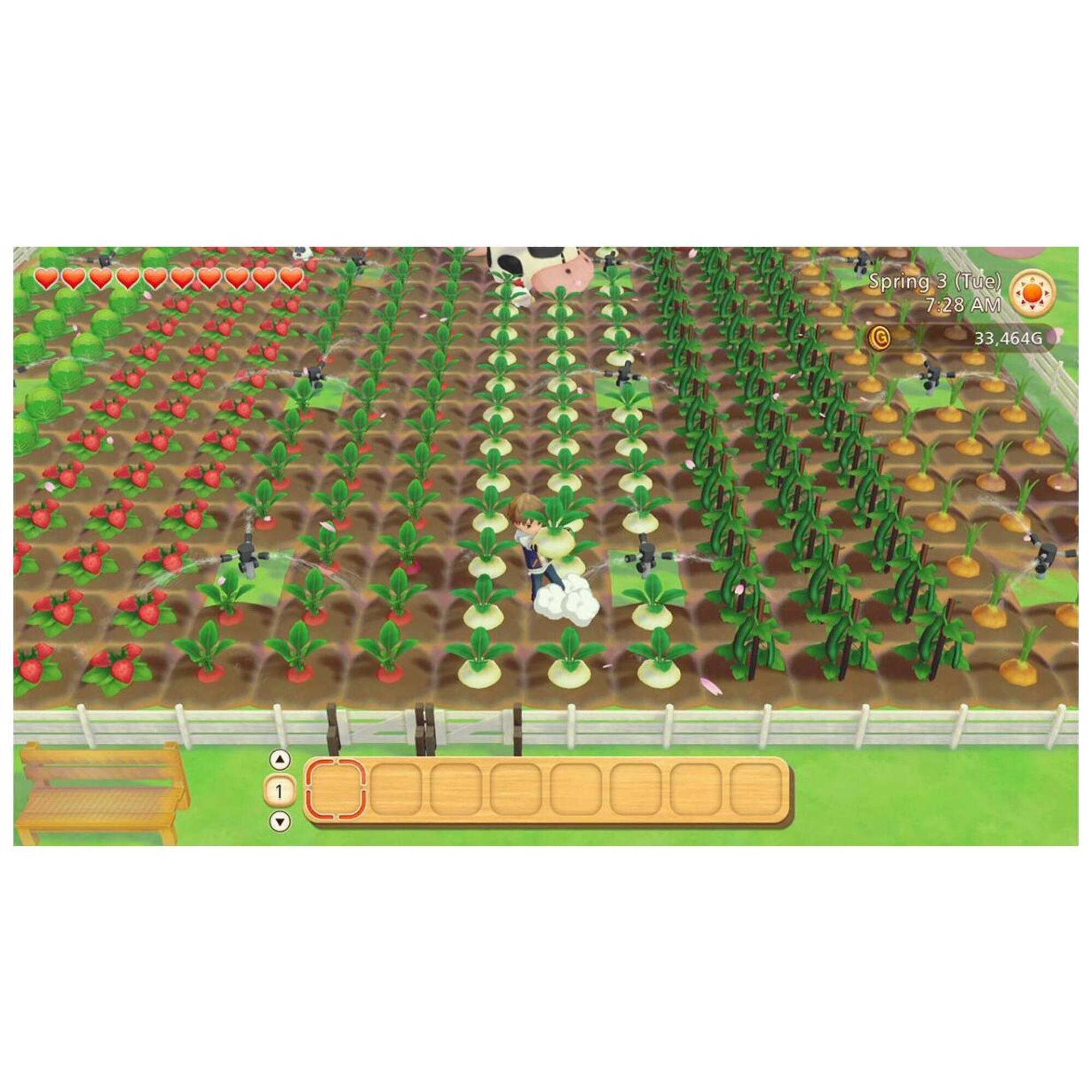 Story of Seasons : Pioneers of Town Jeu Switch - vue 3