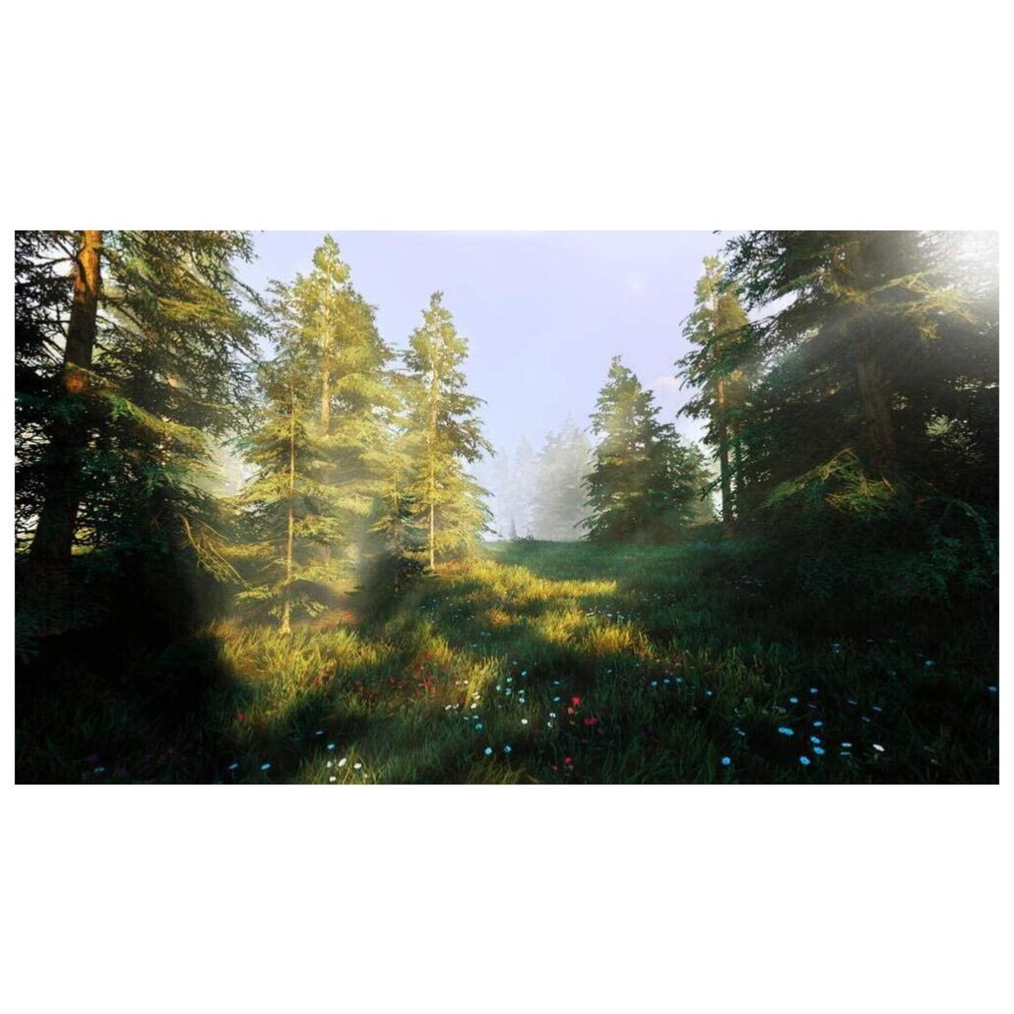 Hunting Simulator 2 Ps4 - vue 4