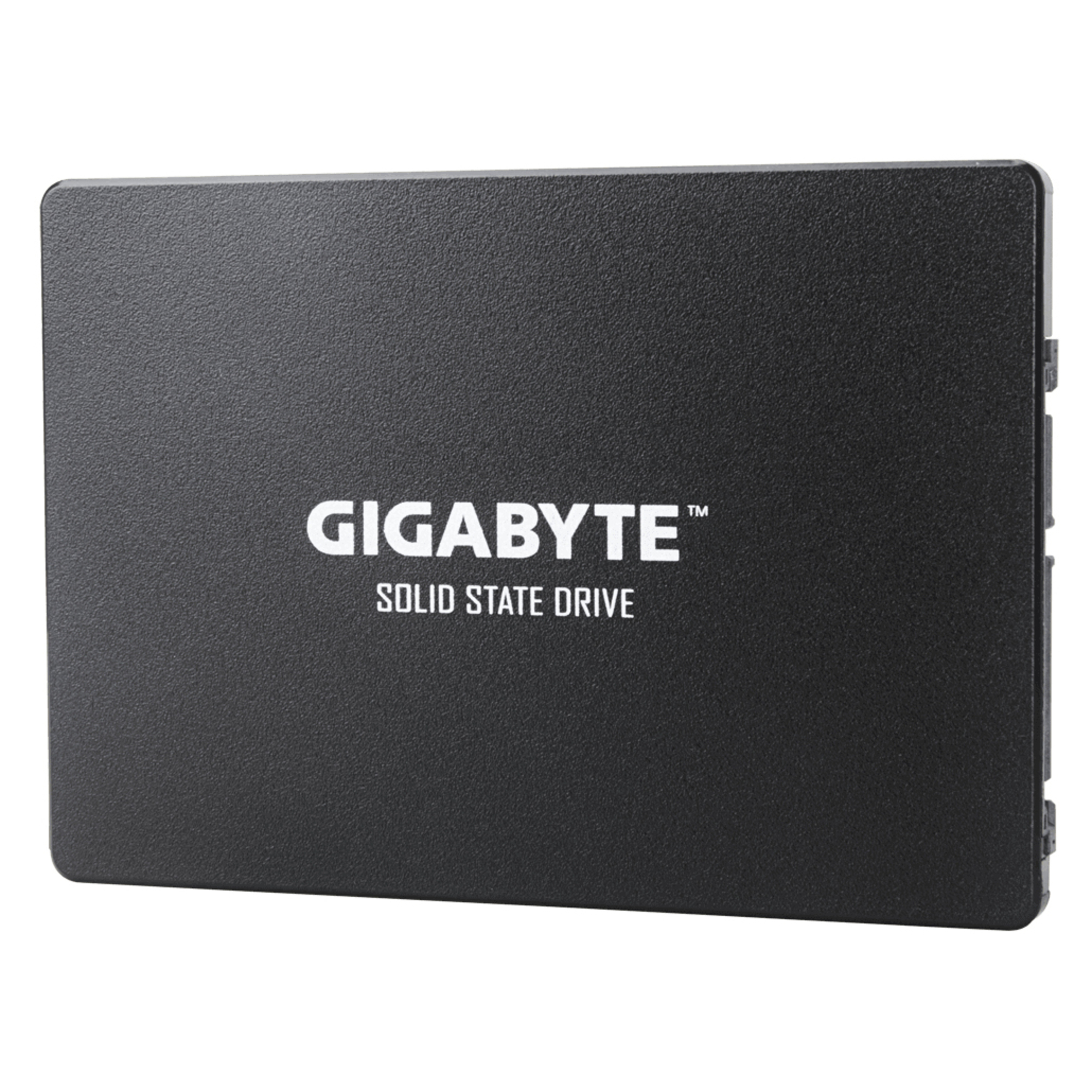 GIGABYTE GP-GSTFS31100TNTD disque SSD 1 To 2.5  SATA - Neuf