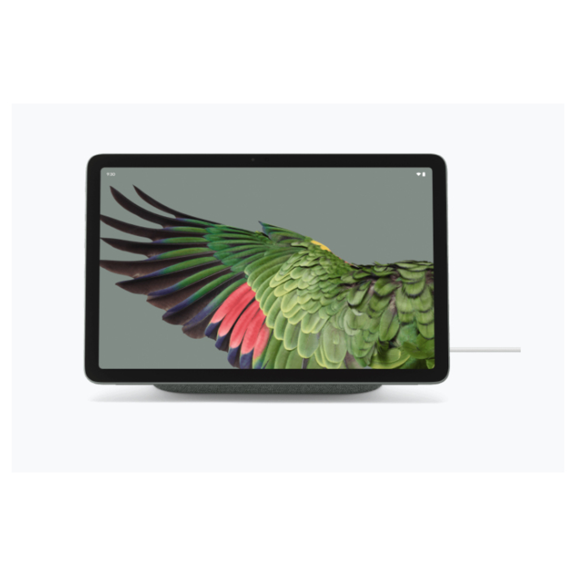 Pixel Tablet 128 Go (10.9 ), Vert Sauge - Neuf