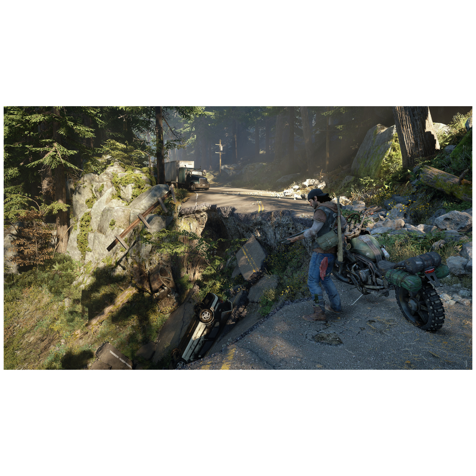 Sony Interactive Entertainment Days Gone Standard PlayStation 4 - Neuf