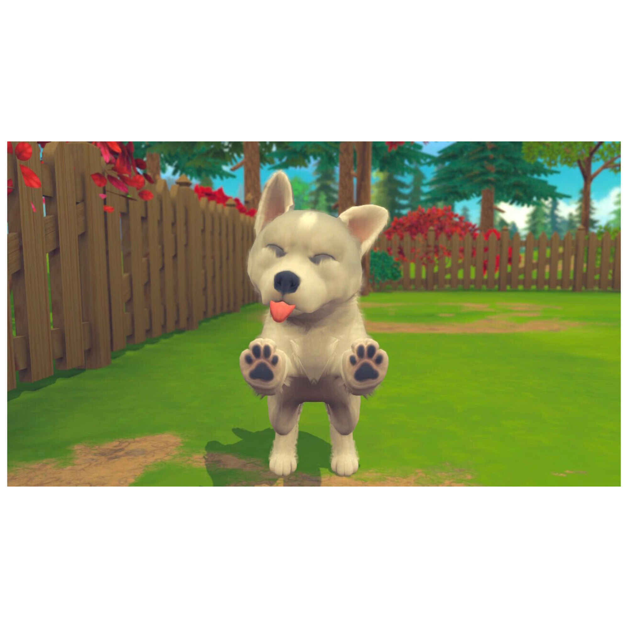 MY UNIVERSE My Baby : Chiens & Chats SWITCH - vue 2