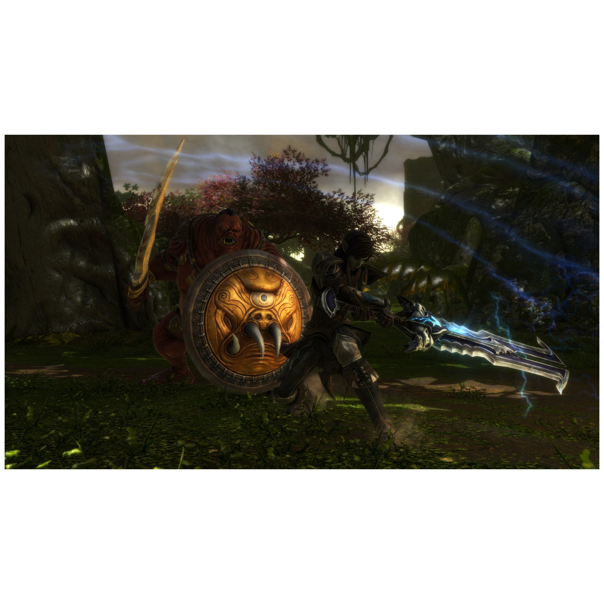 Kingdoms Of Amalur : Re Reckoning Ps4 - vue 3