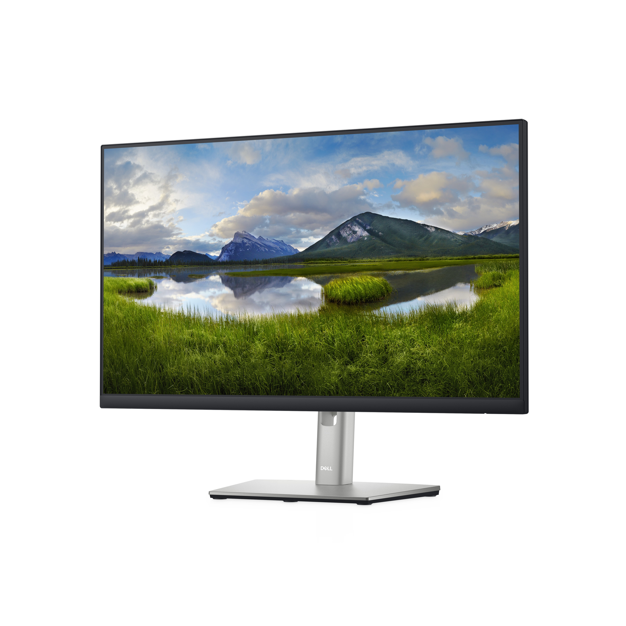 DELL P Series Écran 24 – P2422H - Neuf