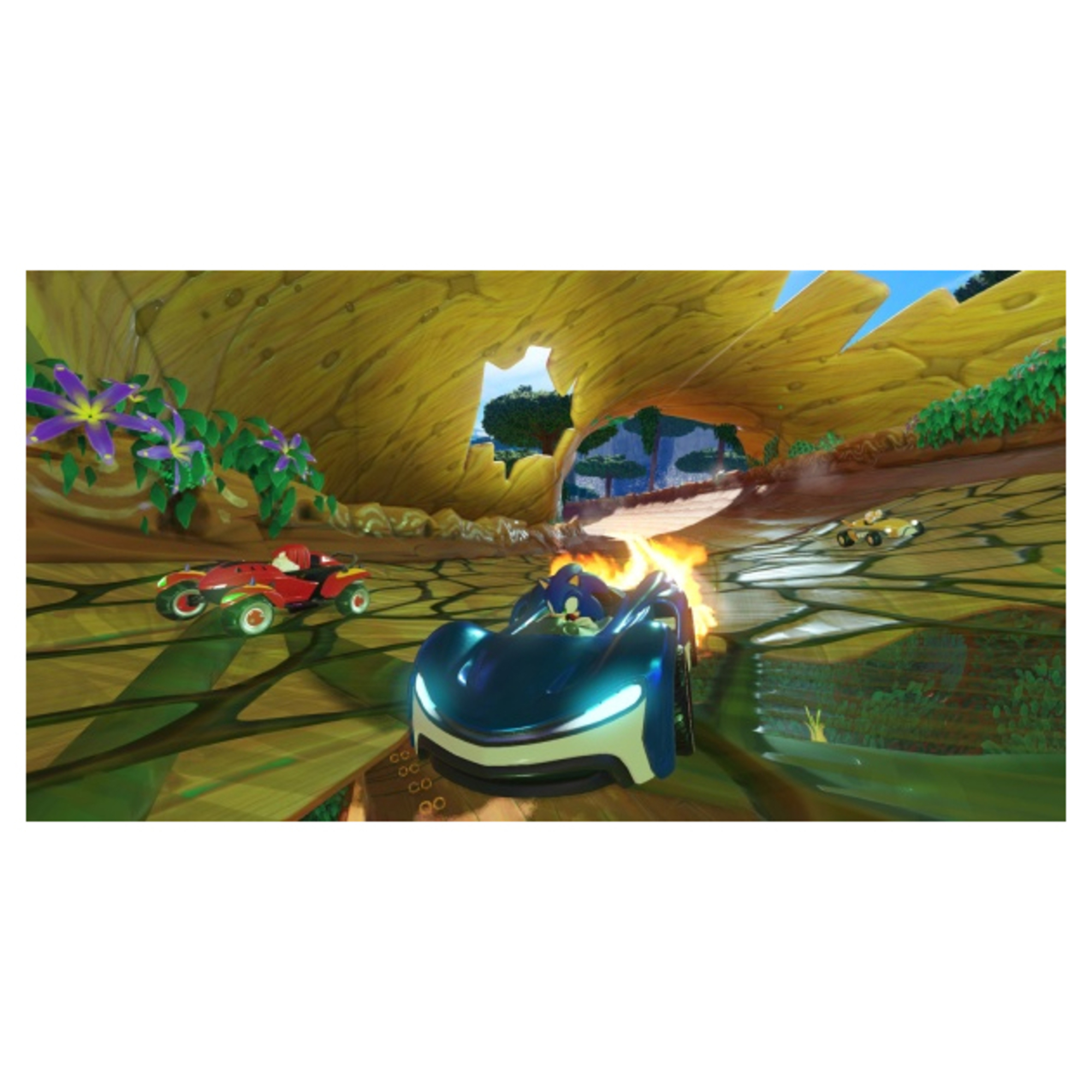 PLAION Team Sonic Racing, Switch Standard Français Nintendo Switch - Neuf