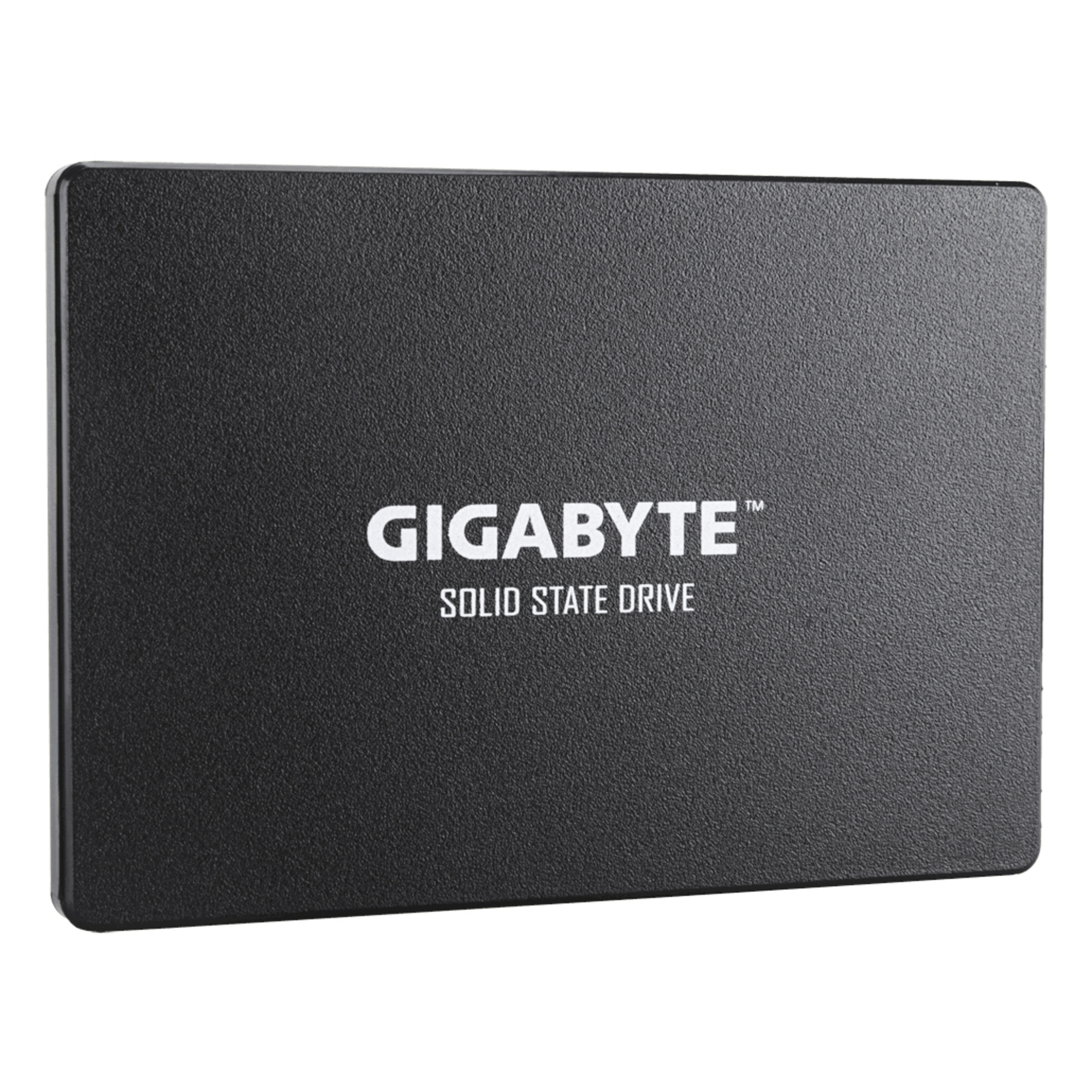 GIGABYTE GP-GSTFS31100TNTD disque SSD 1 To 2.5  SATA - Neuf