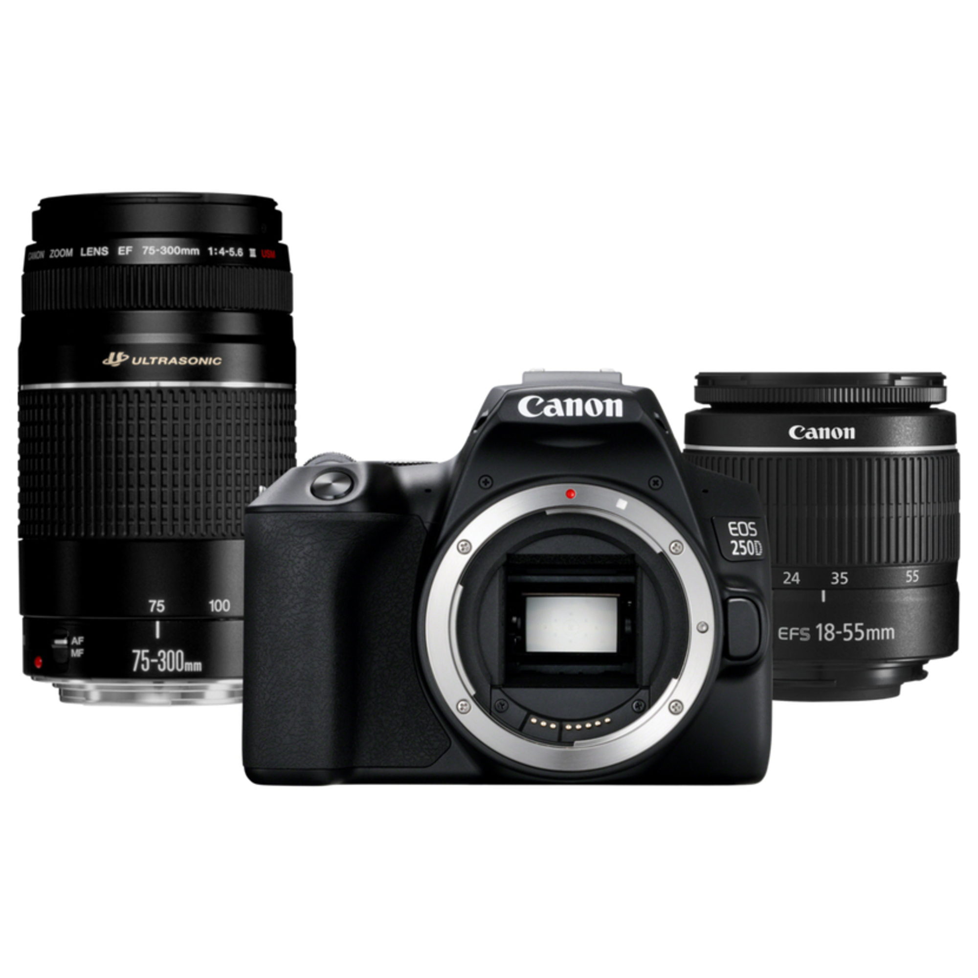 Canon EOS + EF 18 55mm f3.5 5.6 III + EF 75 300mm f4 5.6 III Kit d'appareil photo SLR 24 1 MP CMOS 6000 x 4000 pixels Neuf - vue 1
