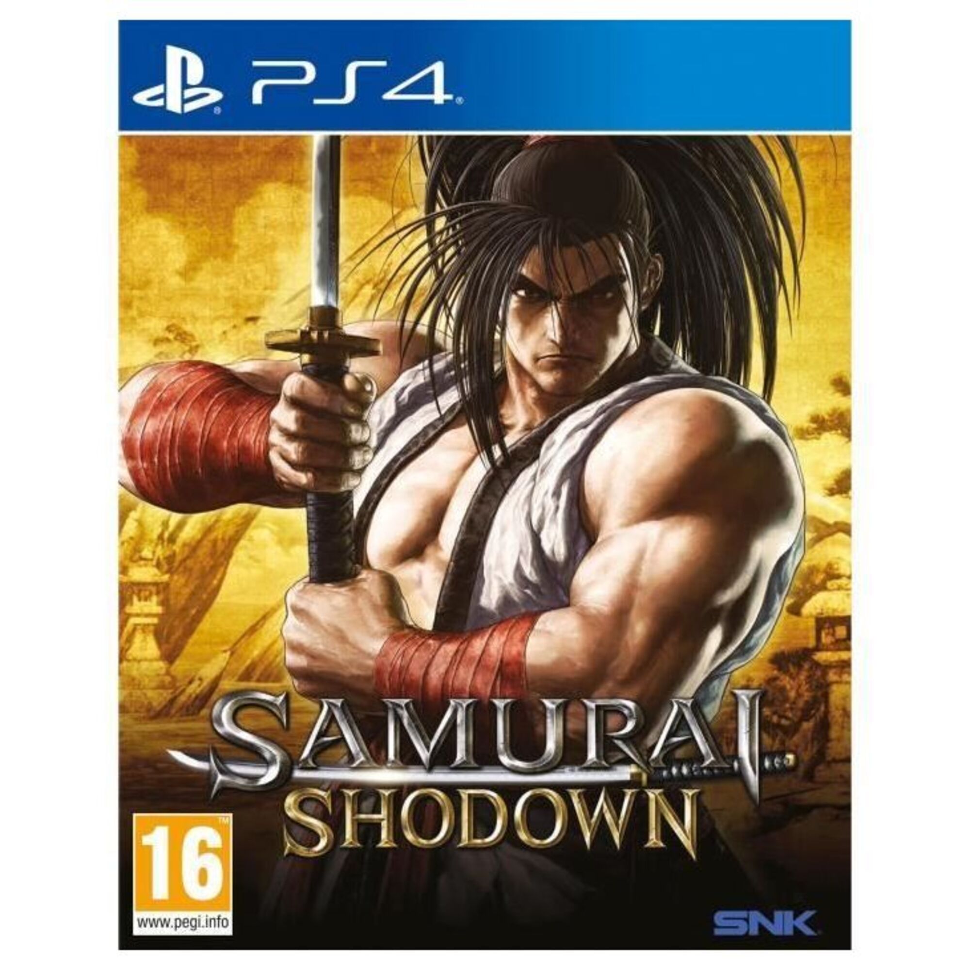 Samurai Shodown Jeu PS4 - vue 9