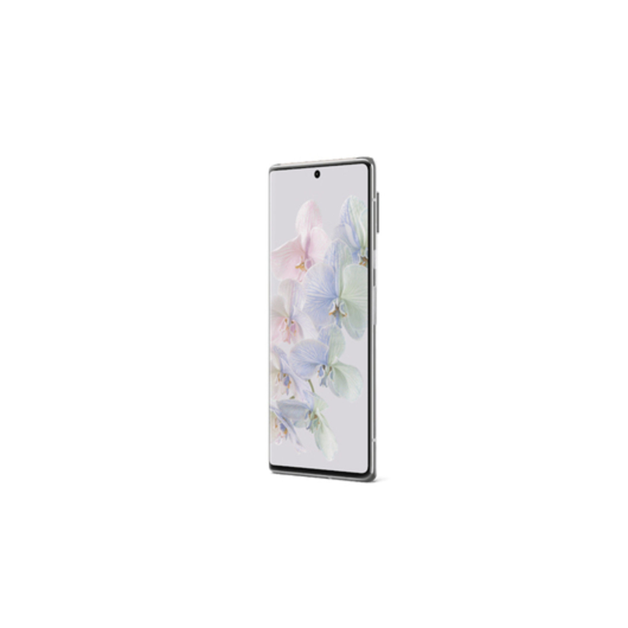 Pixel 6 Pro