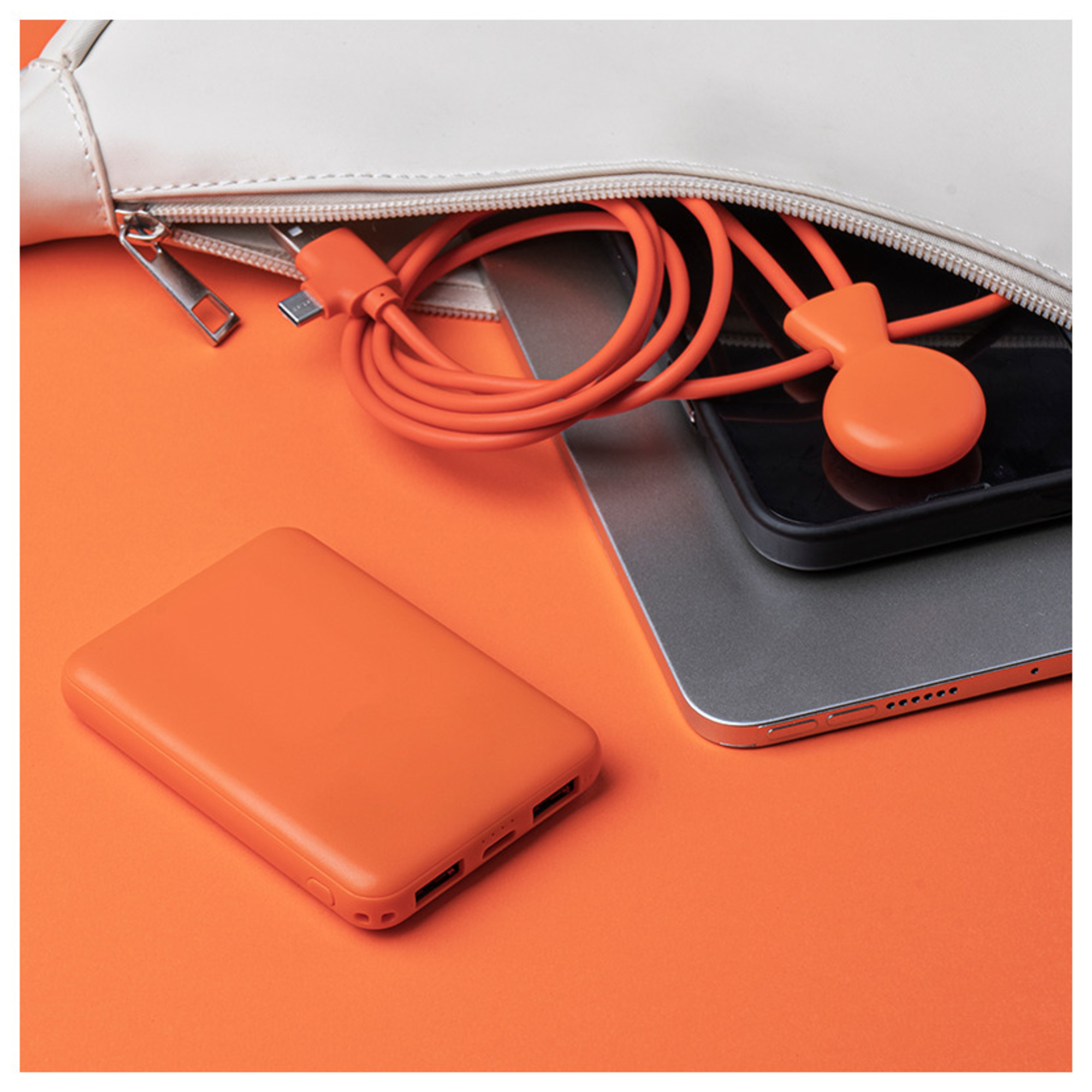 Pack de charge Mr Bio Long 5000mAh Neuf - vue 5