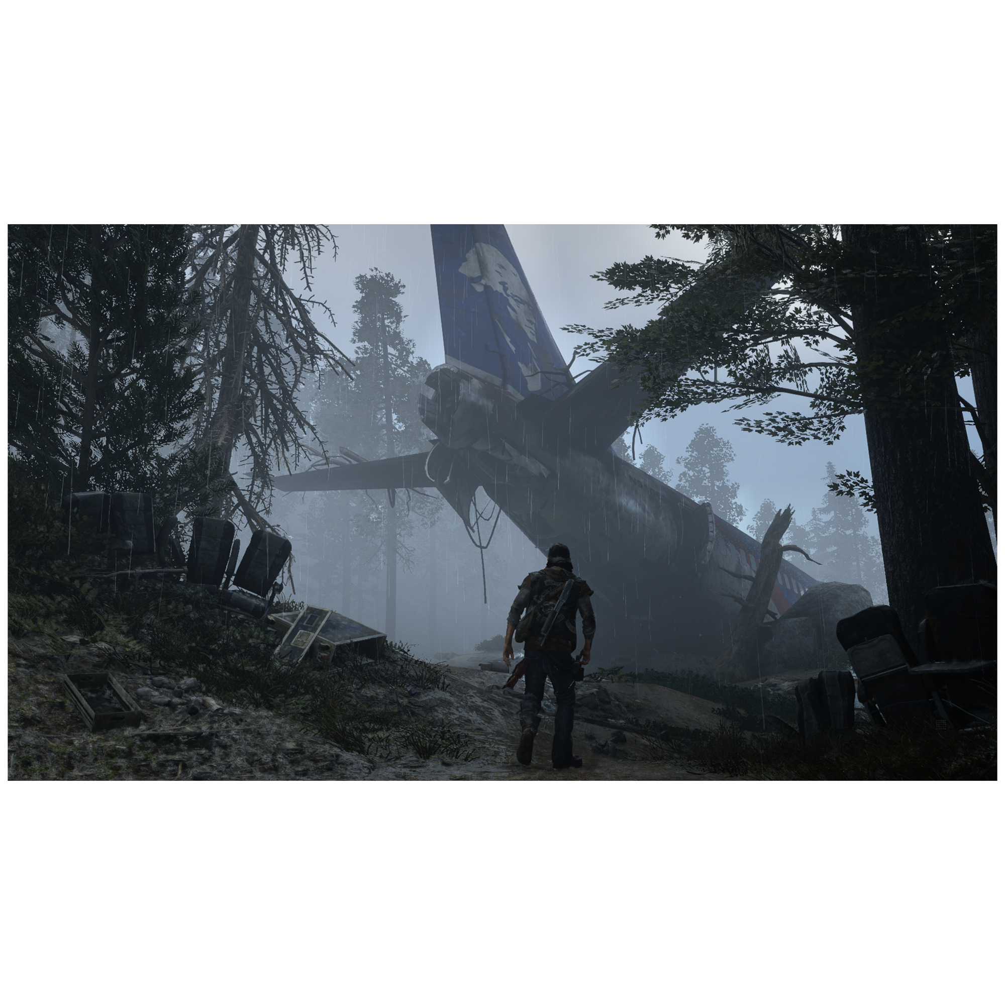 Sony Interactive Entertainment Days Gone Standard PlayStation 4 - Neuf