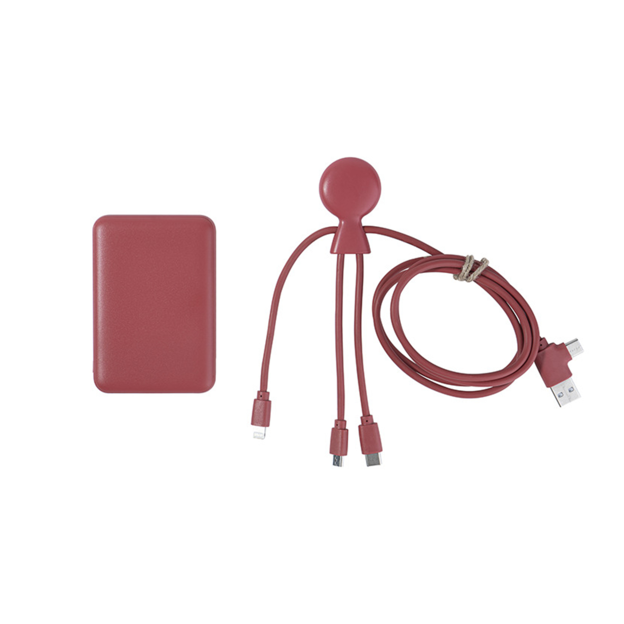 Pack de charge Mr Bio Long 5000mAh Neuf - vue 7