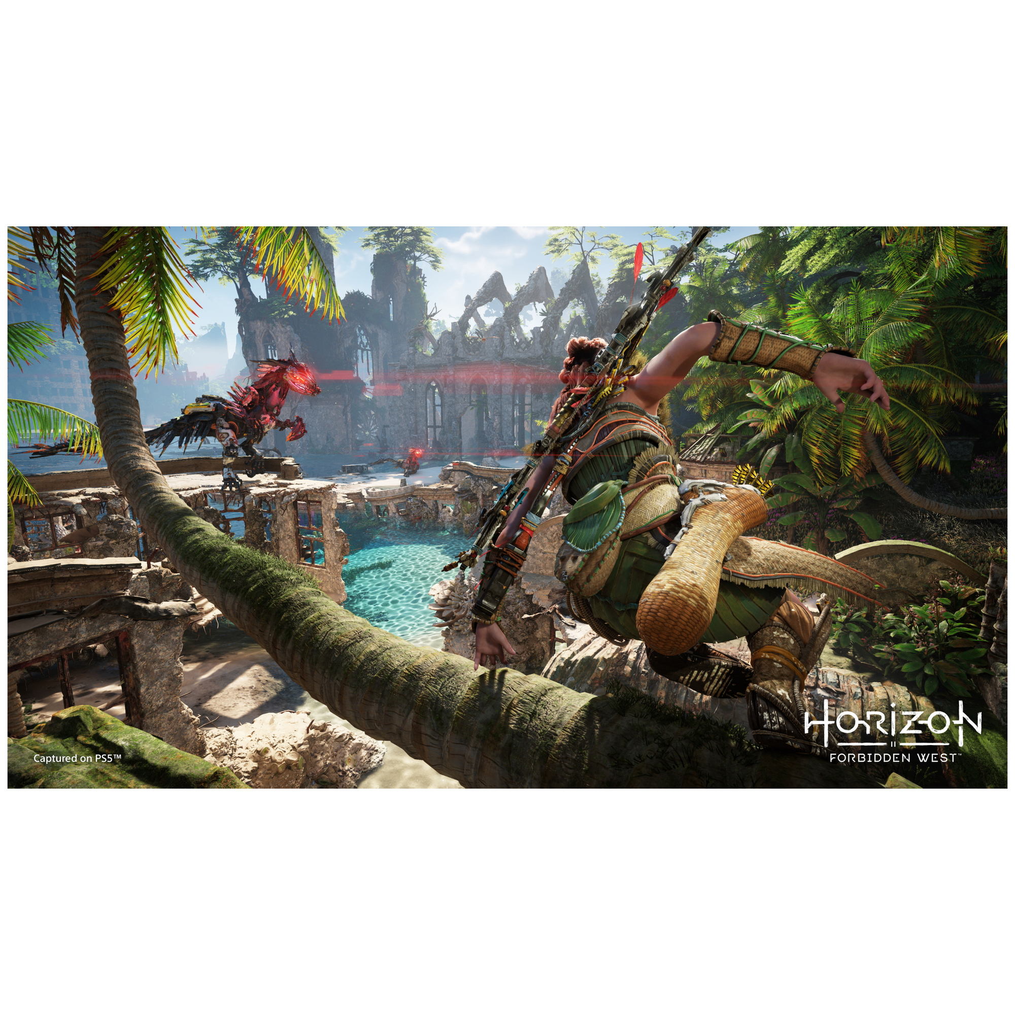 Sony Horizon: Forbidden West Standard Arabe, Espagnol, Polonais, Français, Italien, Portugais, Japonais, Russe, Allemand PlayStation 4 - Neuf
